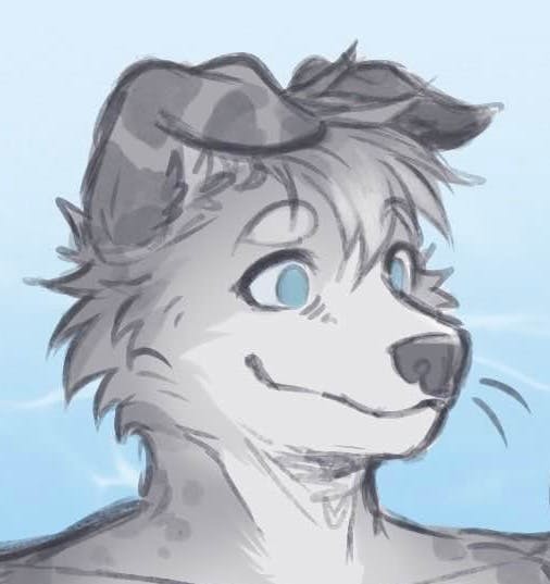 user avatar image for Doggoseal