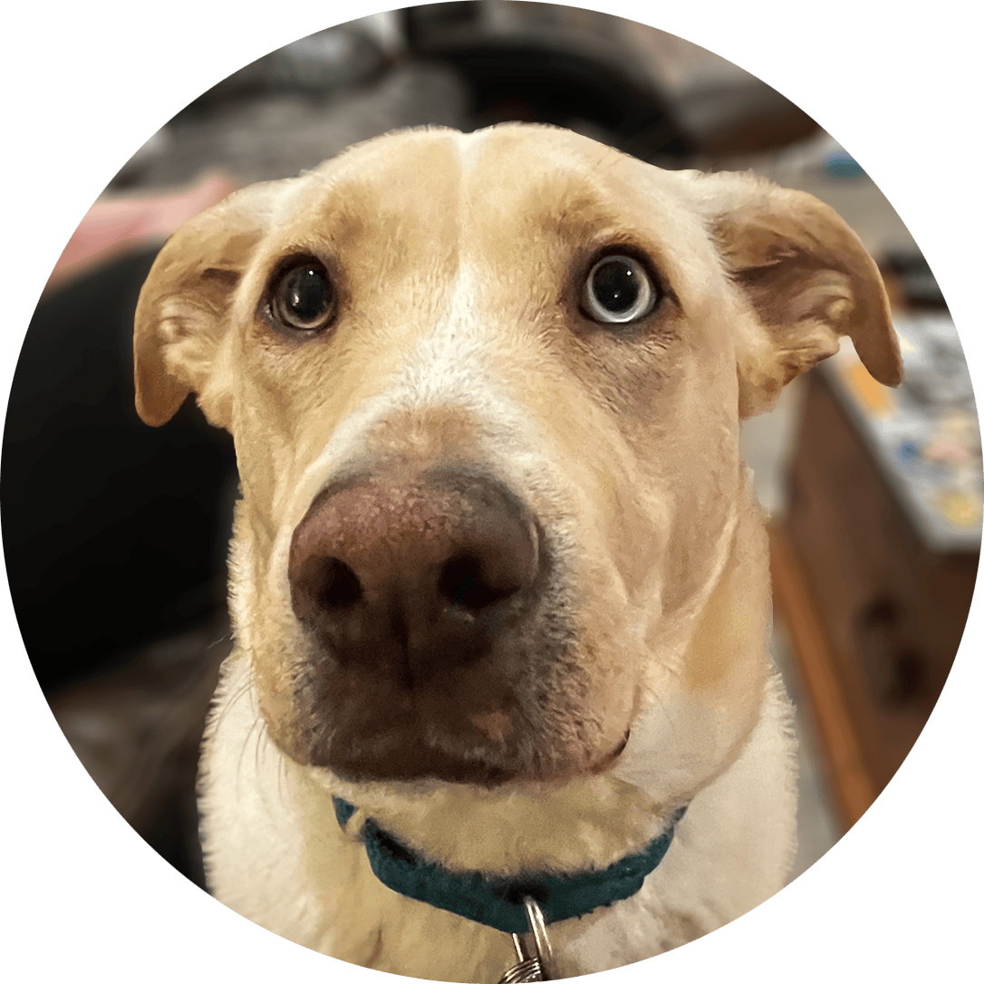 user avatar image for Em Barber