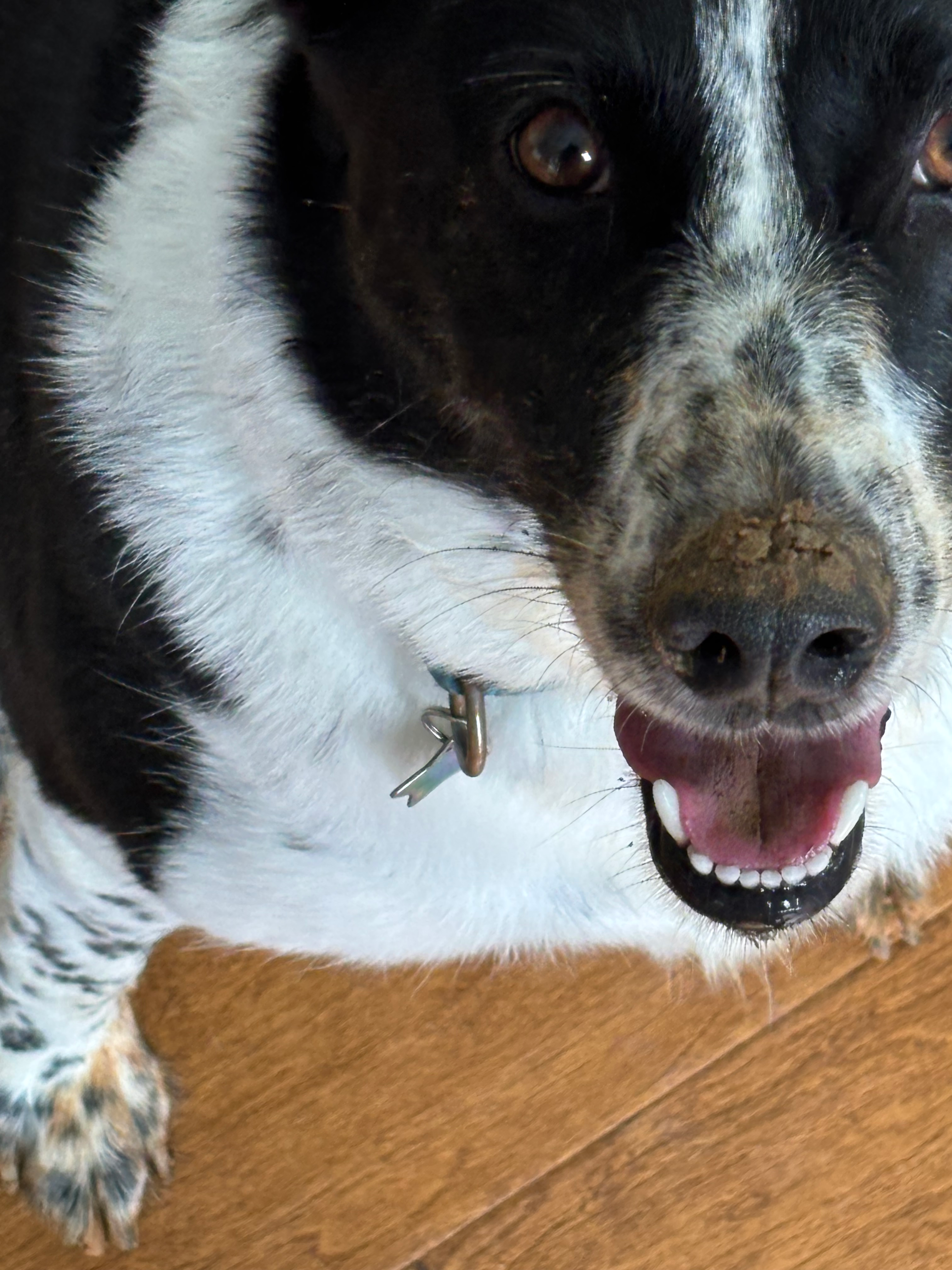 user avatar image for Doug 