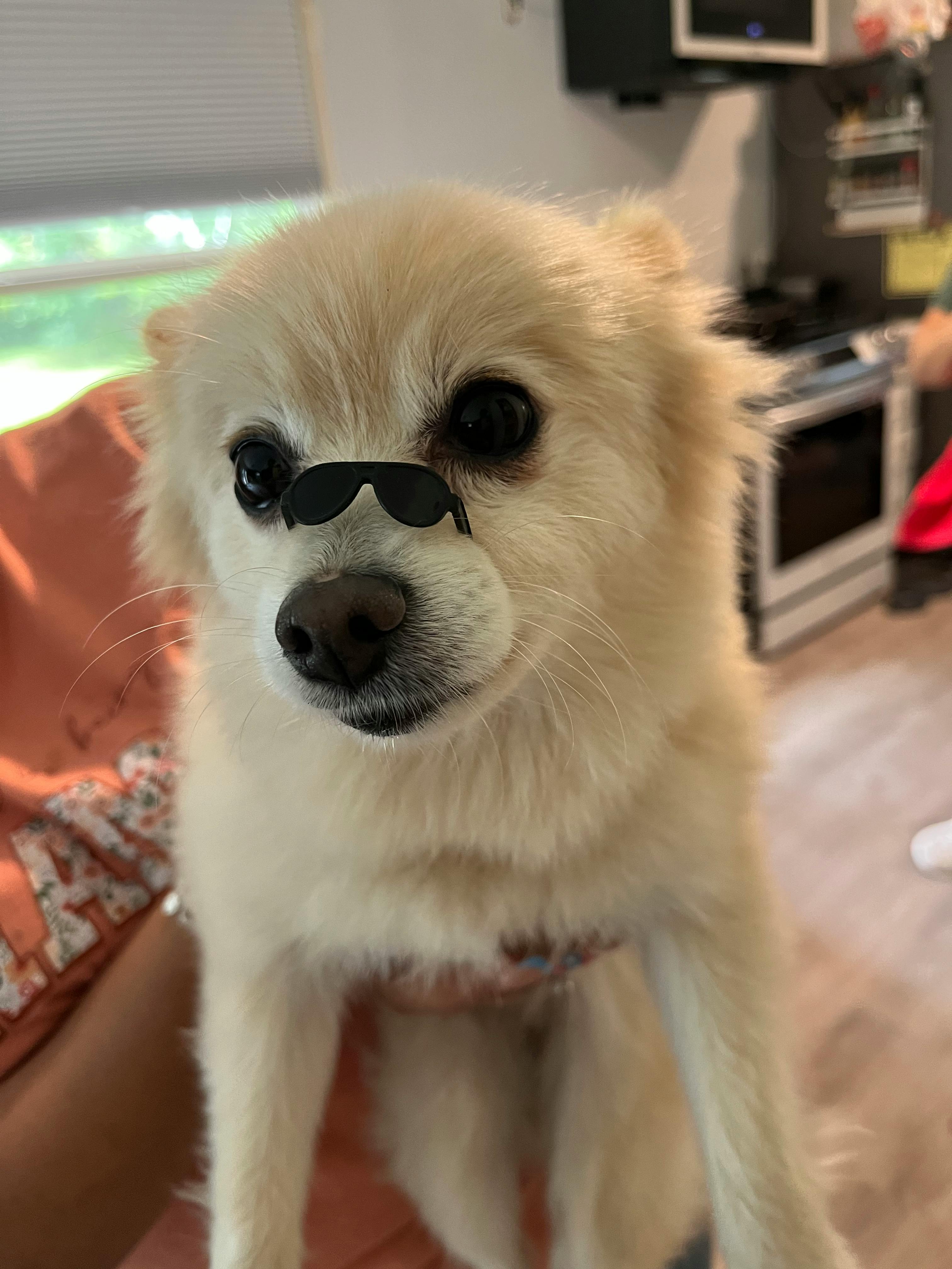 user avatar image for Jayaide