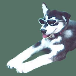 user avatar image for MalGirl2