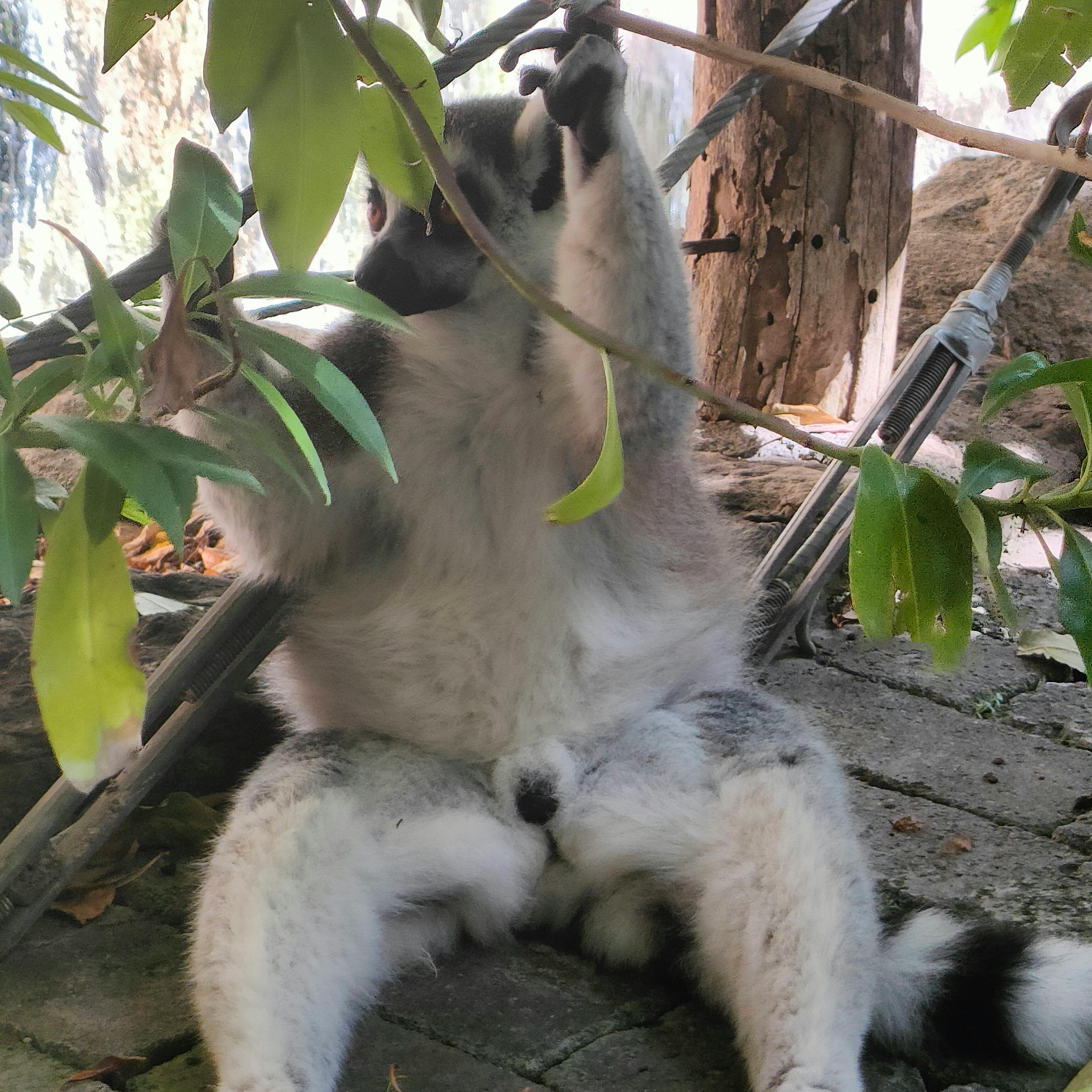 user avatar image for Abel Rodríguez Barrabés 