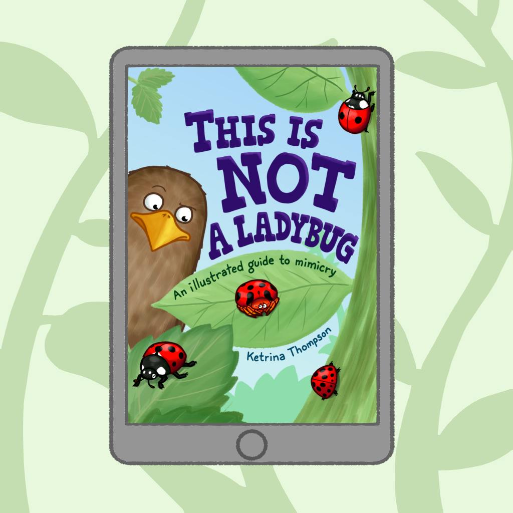 E-book
