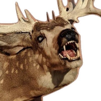 user avatar image for hamsterific