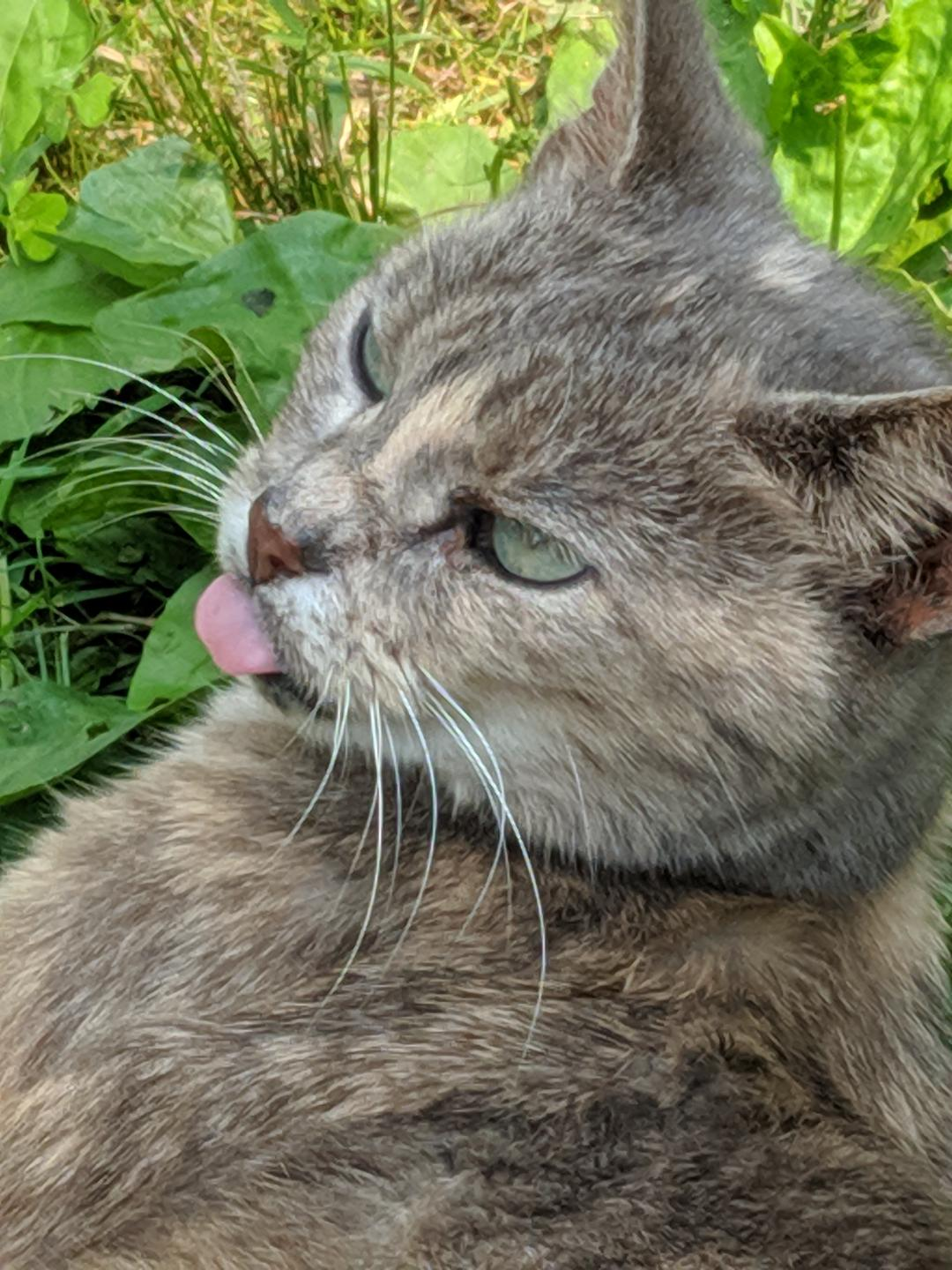 user avatar image for Chaz