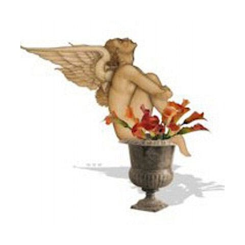 user avatar image for Laurel-li