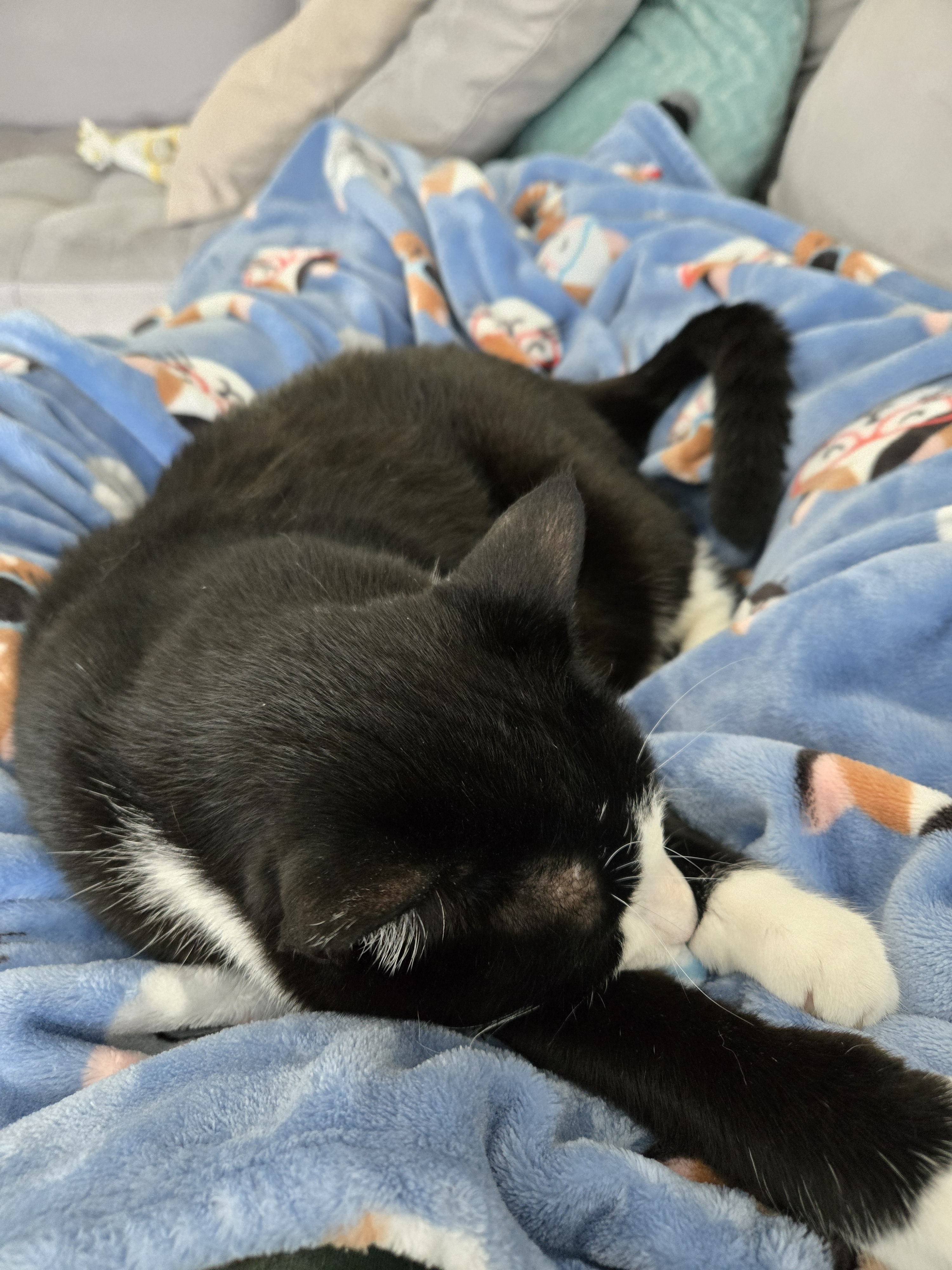 user avatar image for Devon