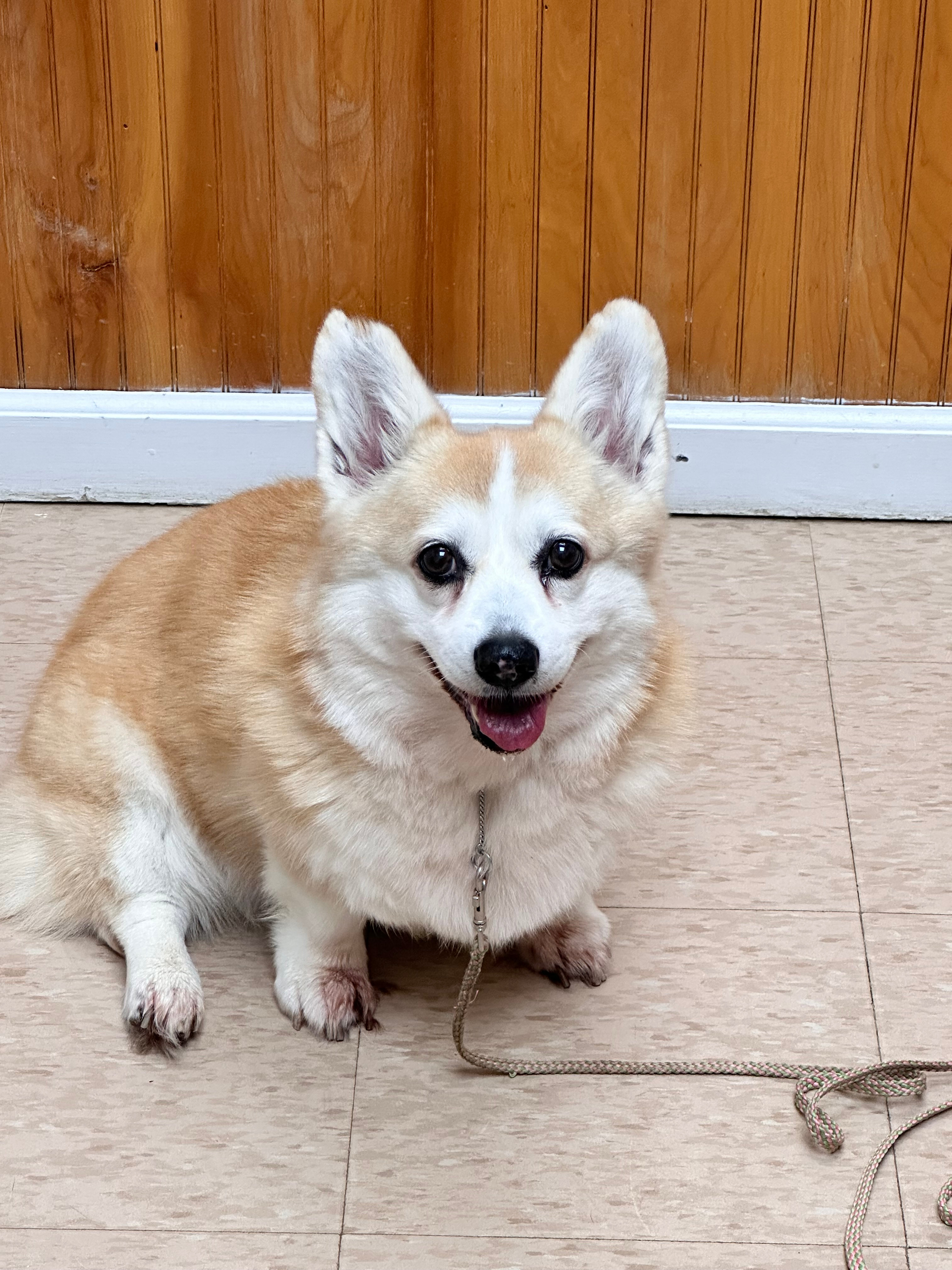 user avatar image for Kathy Gilchrest