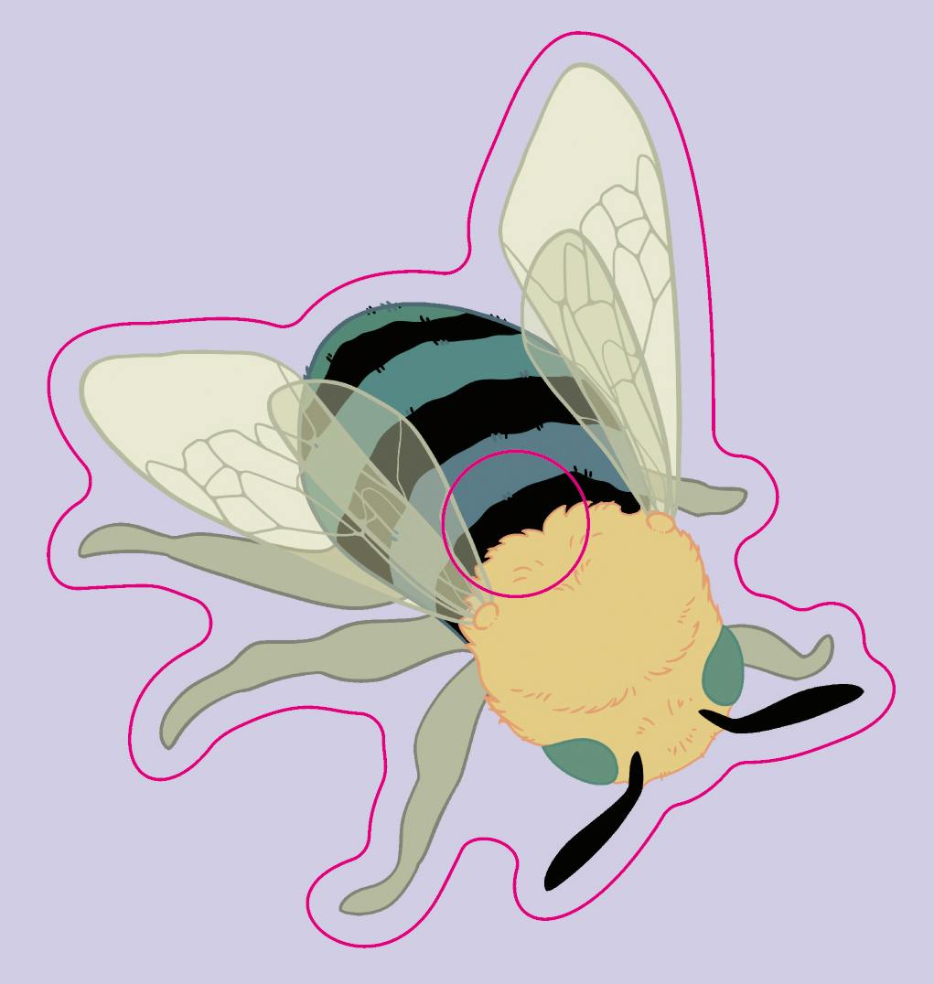 Clear Acrylic Magnet Blue Bee 