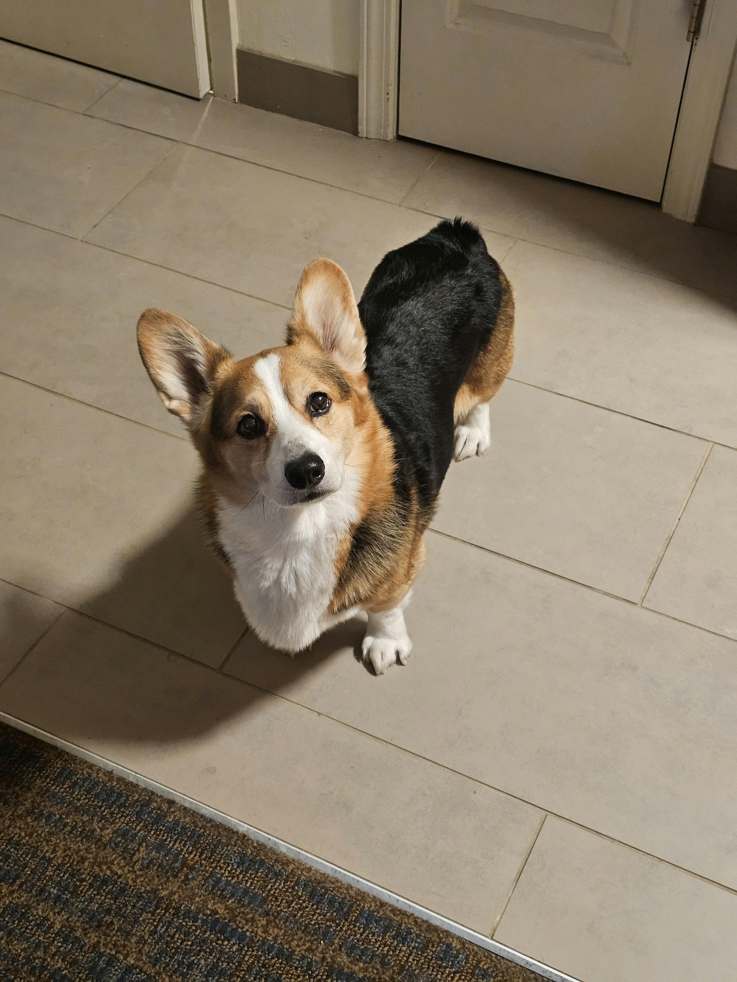 user avatar image for Tyler Winsborrow