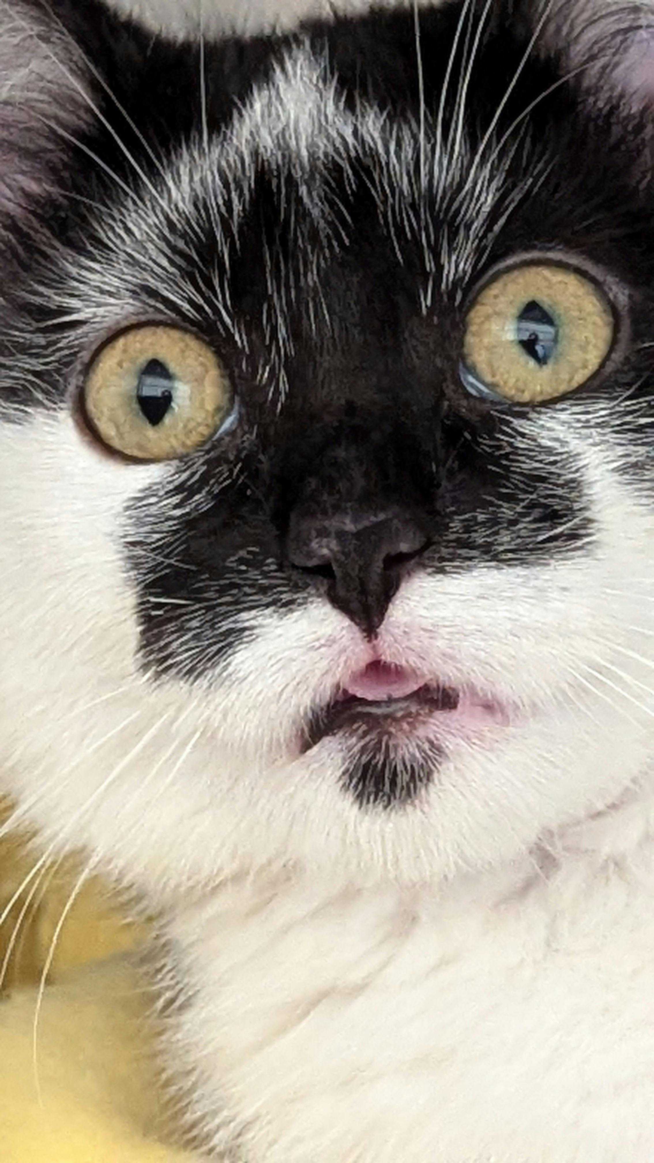 user avatar image for Sylvieon 