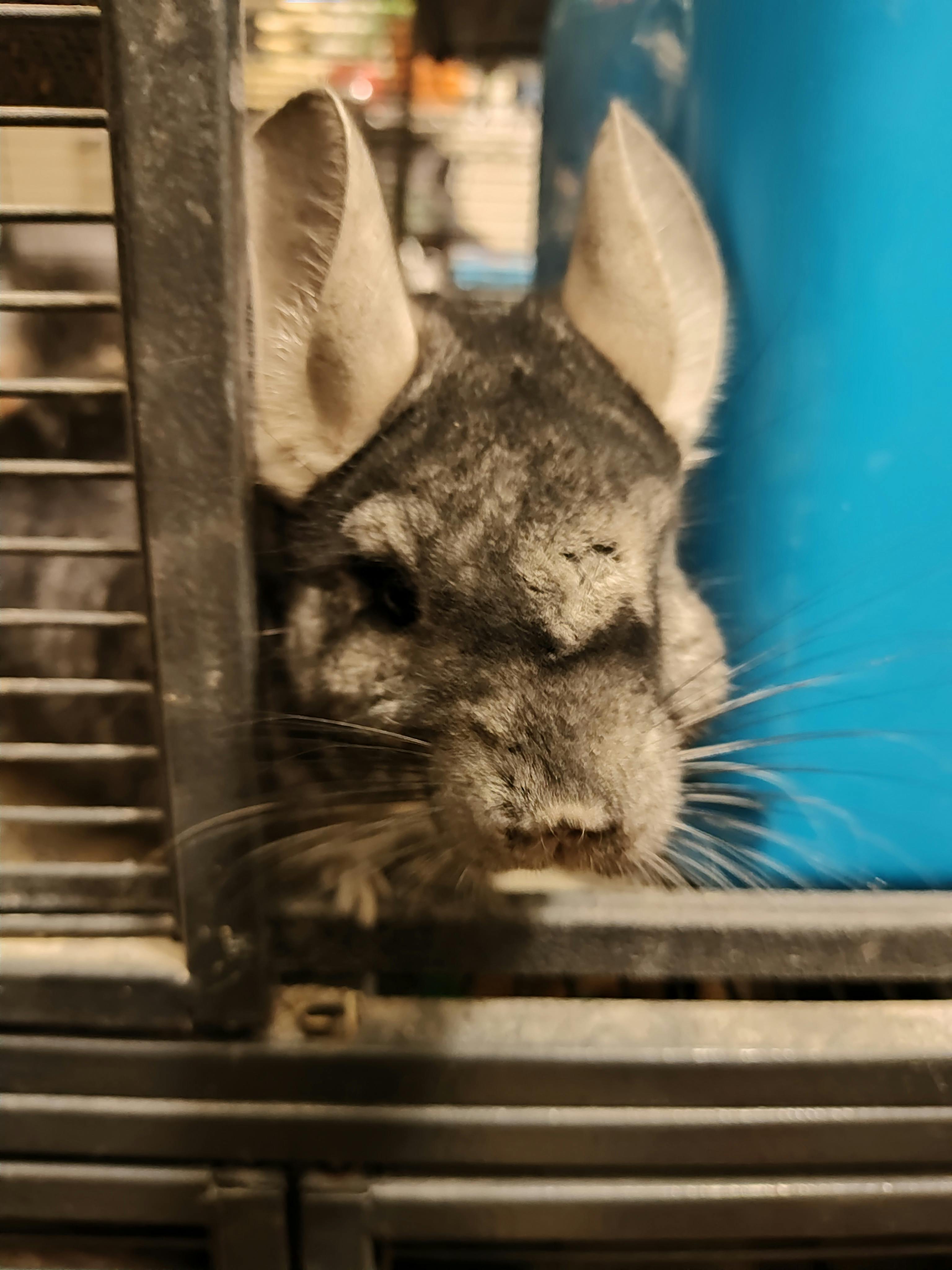 user avatar image for DaFritz65 