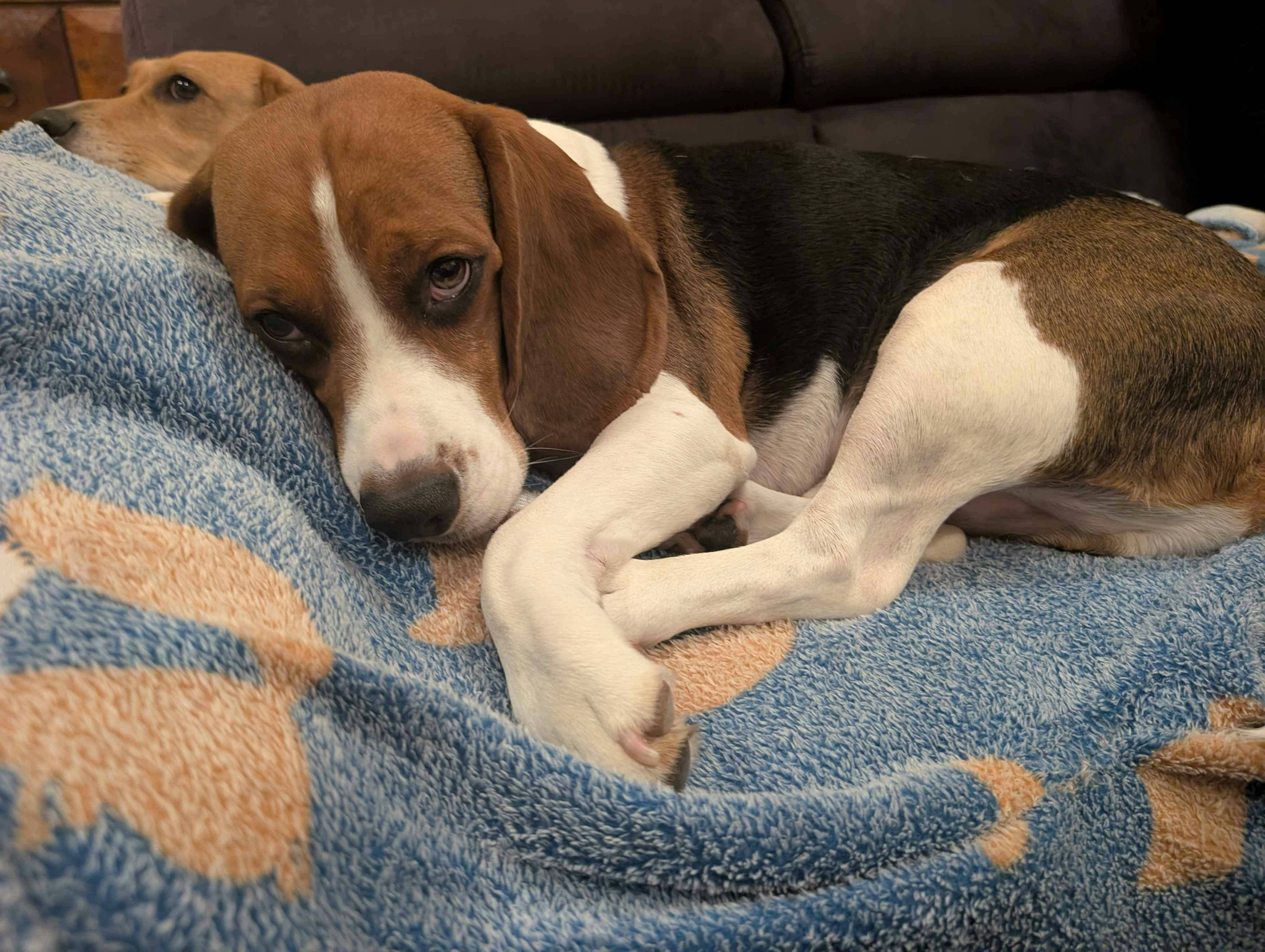 user avatar image for Lorai