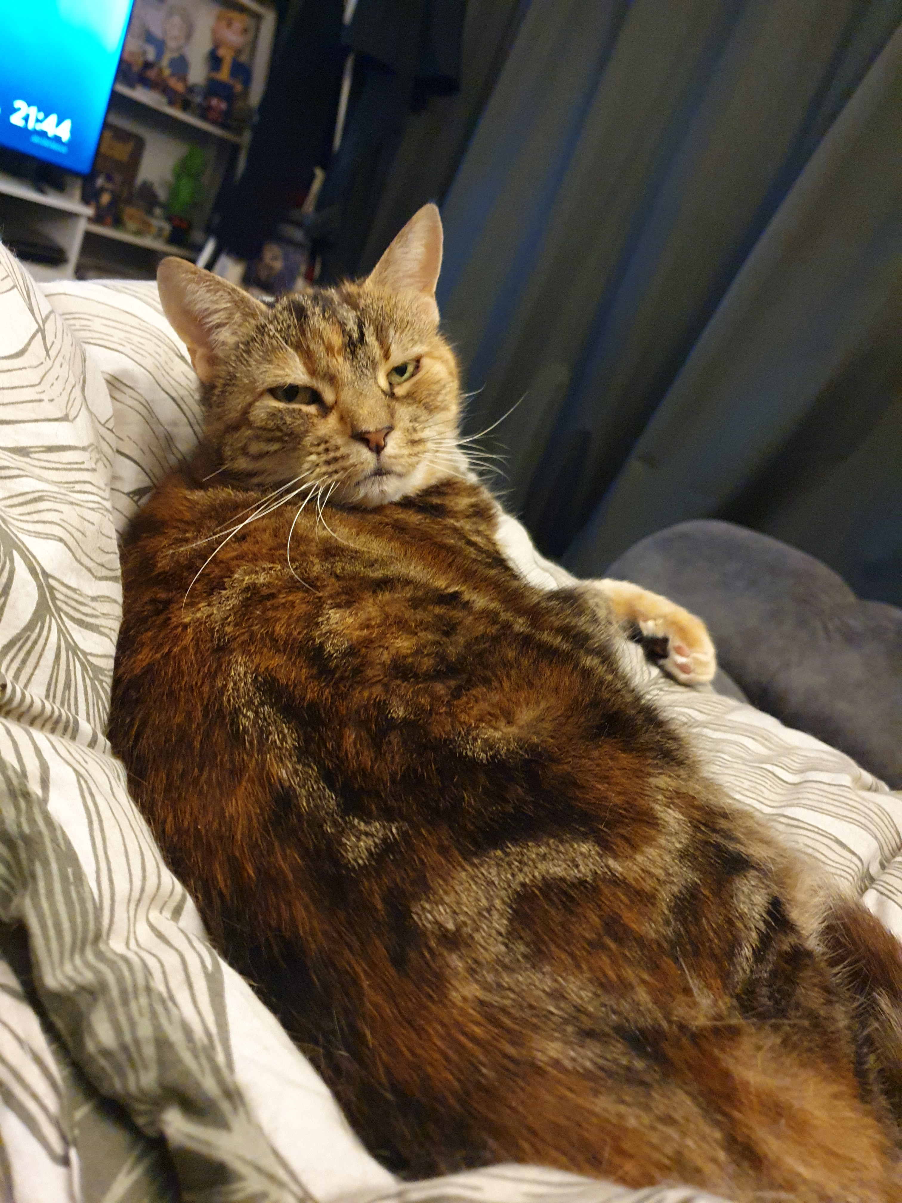 user avatar image for JubeCube