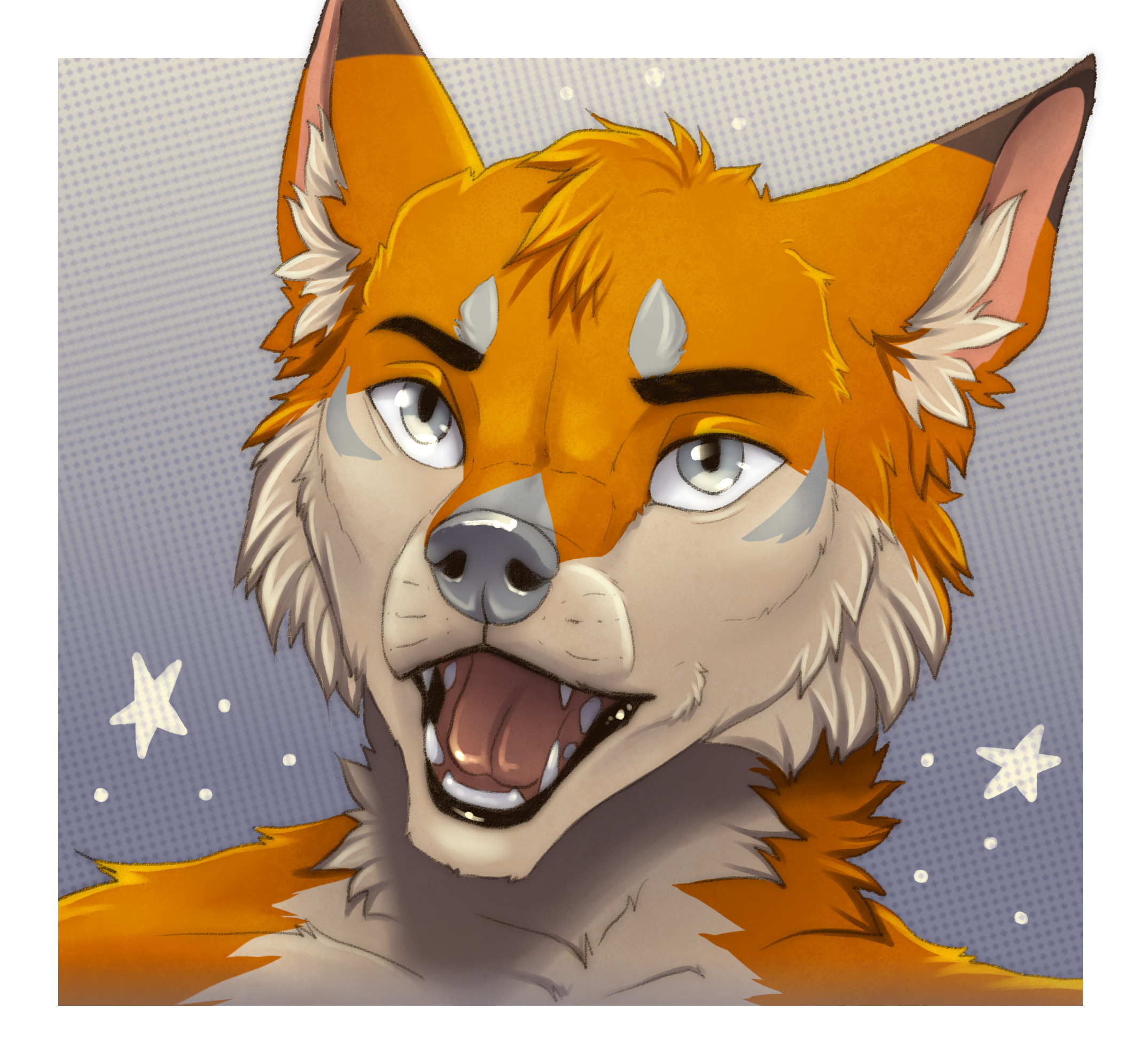 user avatar image for Terrence the Fox
