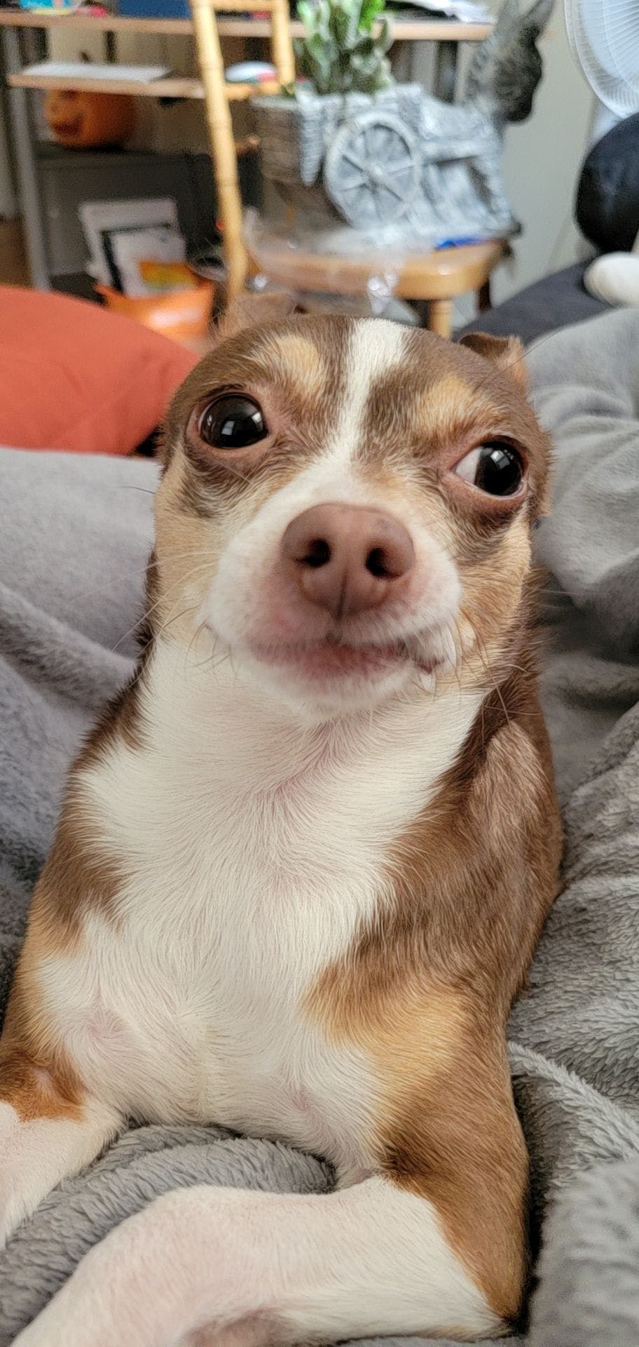 user avatar image for Jojo