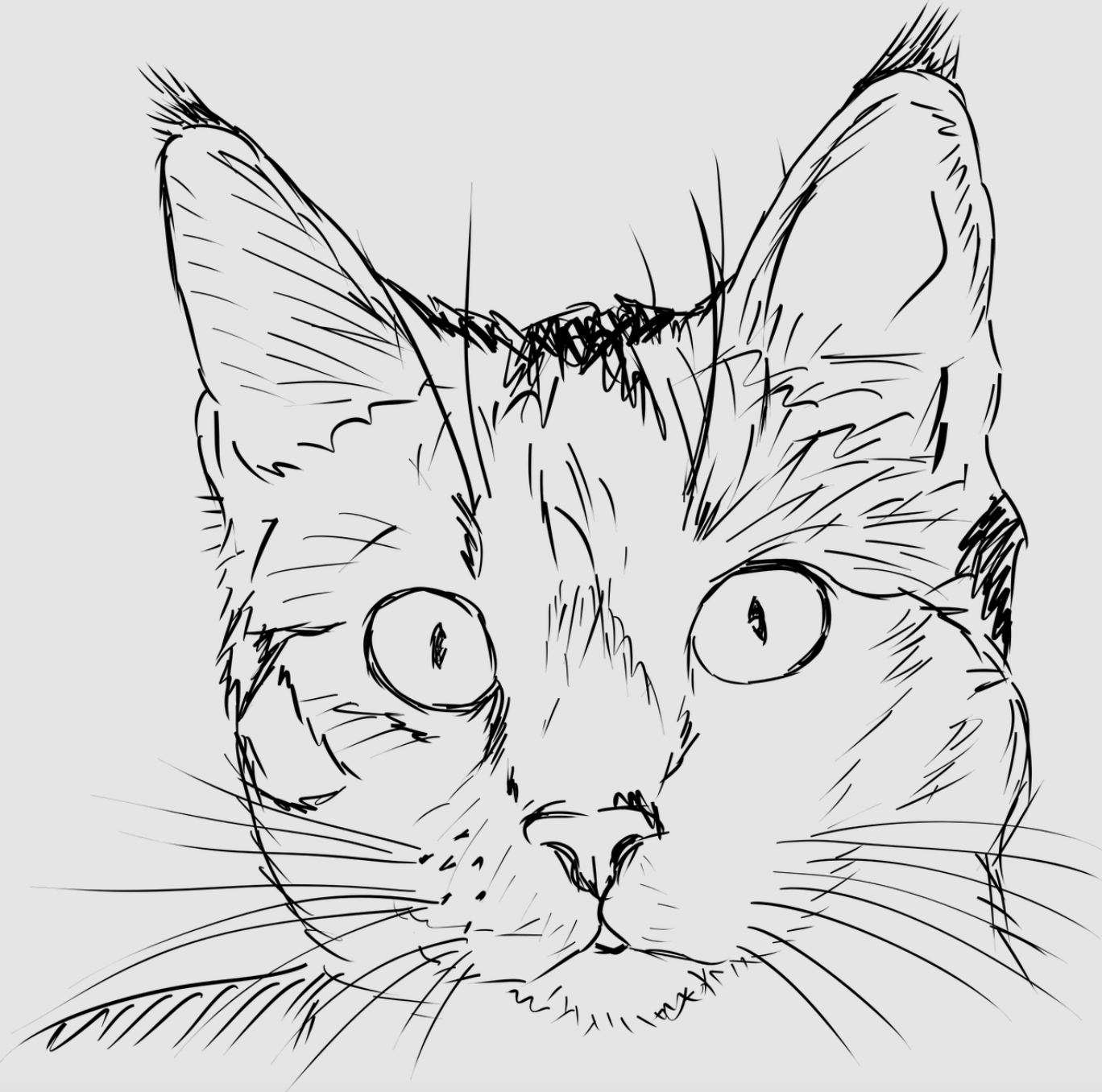user avatar image for cat