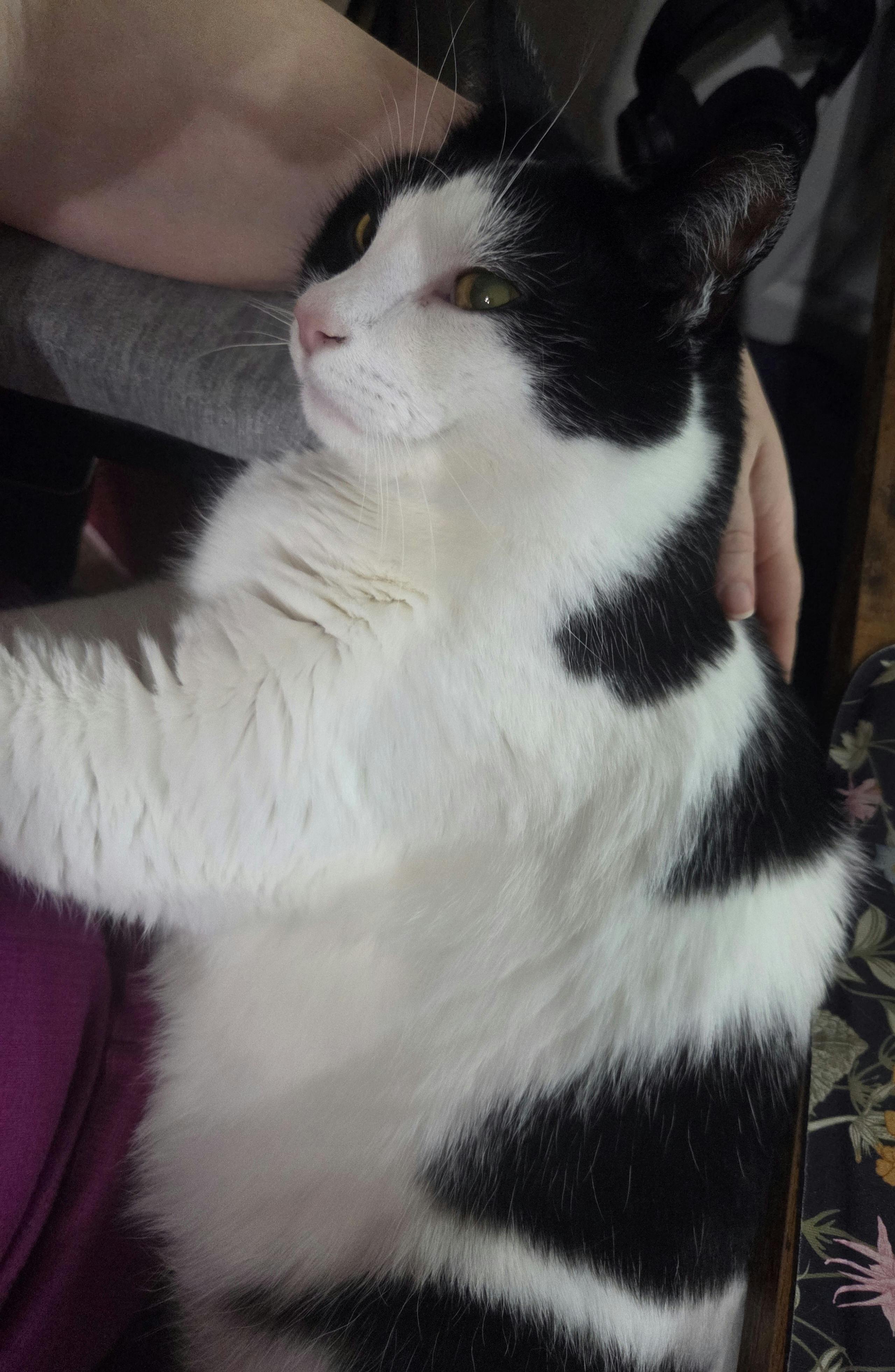 user avatar image for Heather Sivret