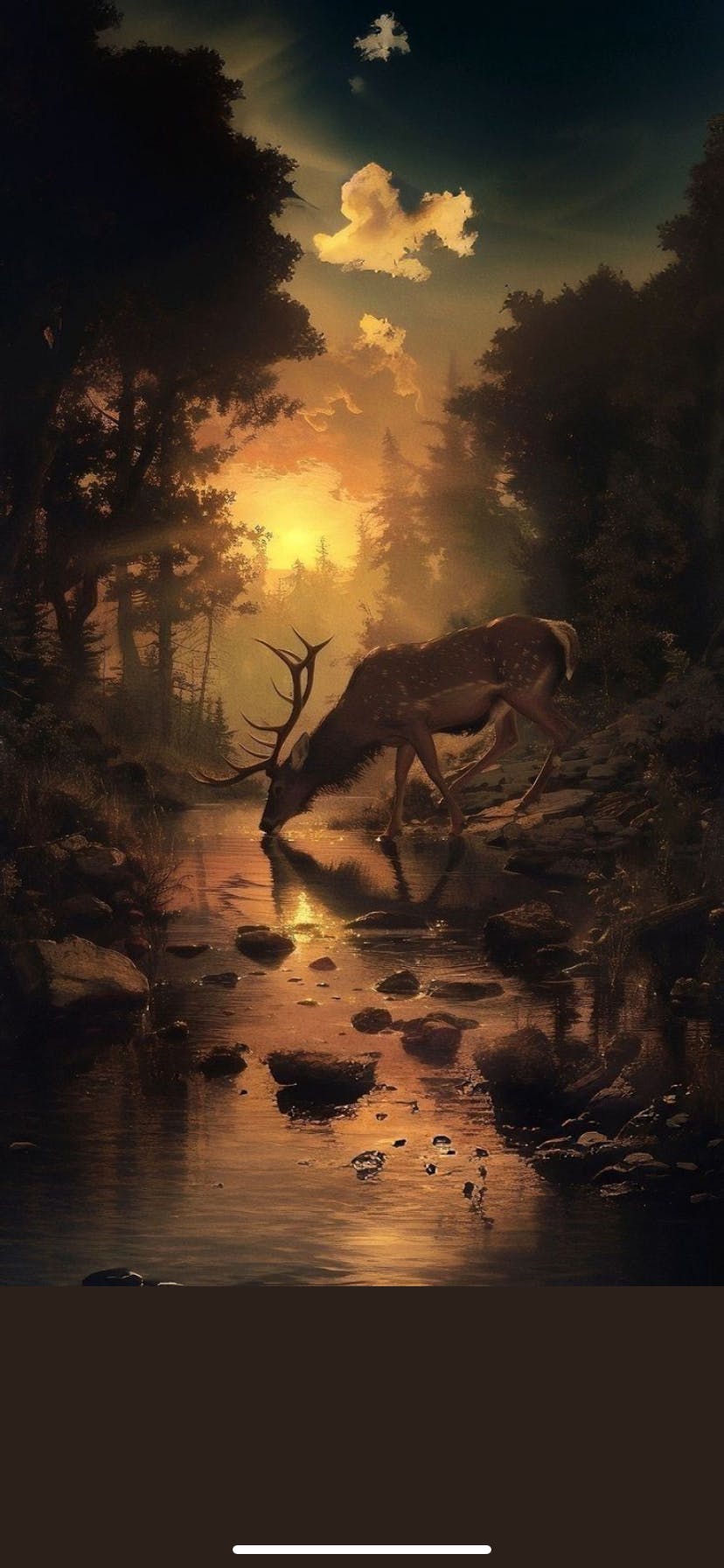 user avatar image for Mj