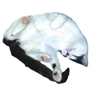 user avatar image for John M. Portley