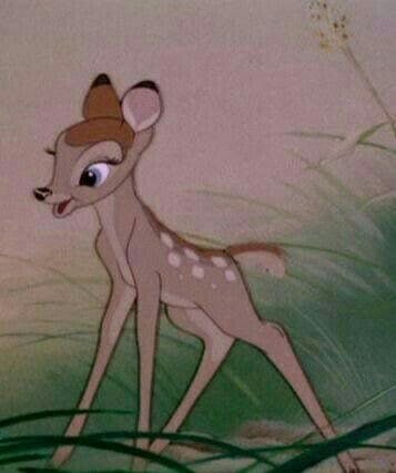 user avatar image for allyquarius