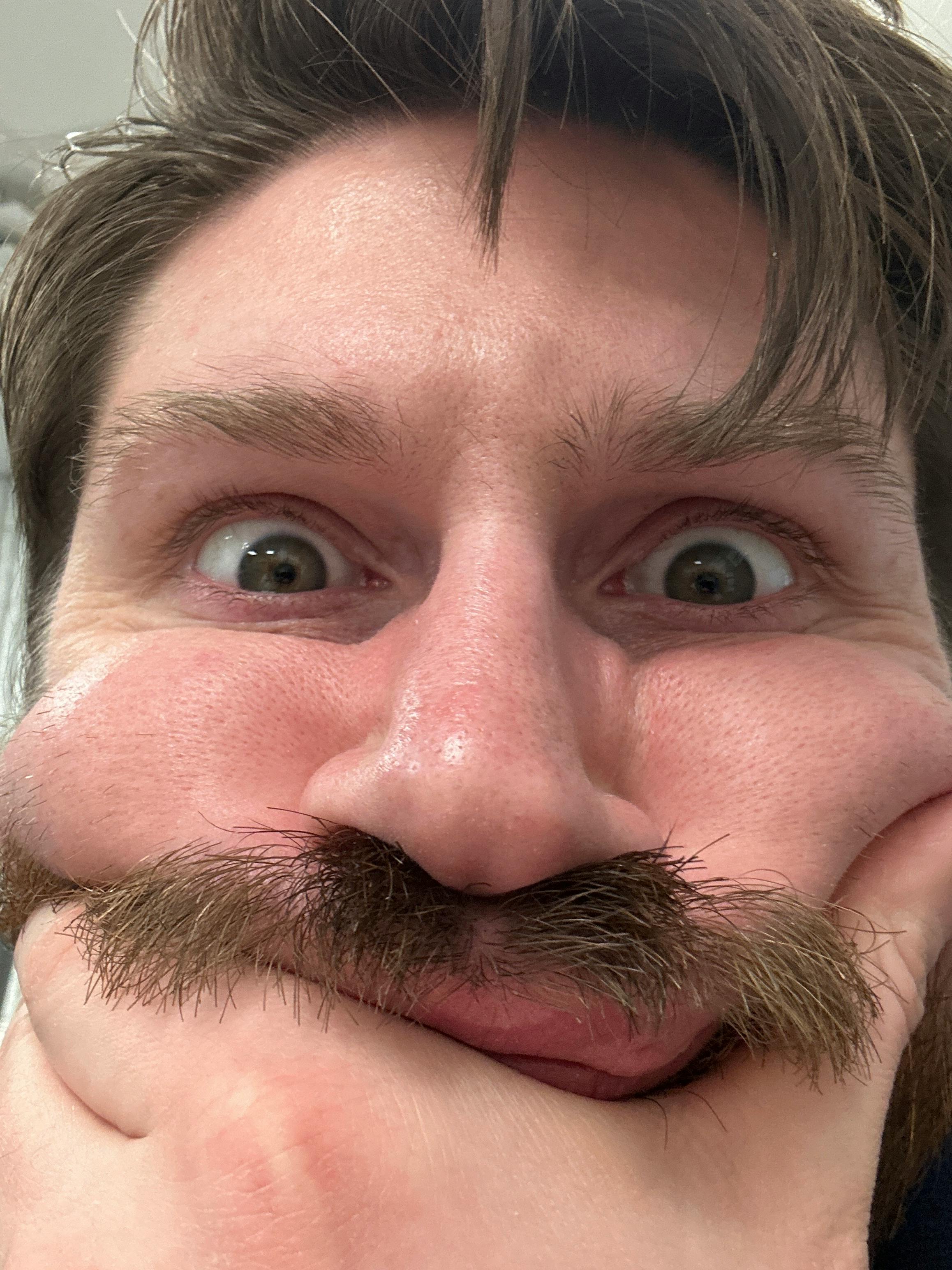 user avatar image for Admiral Squishy