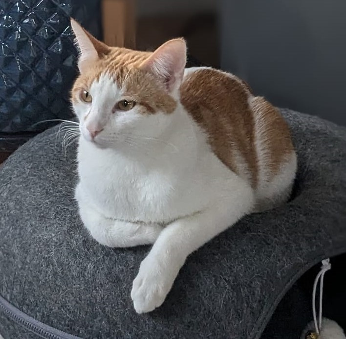 user avatar image for Nichole Marie Cristee