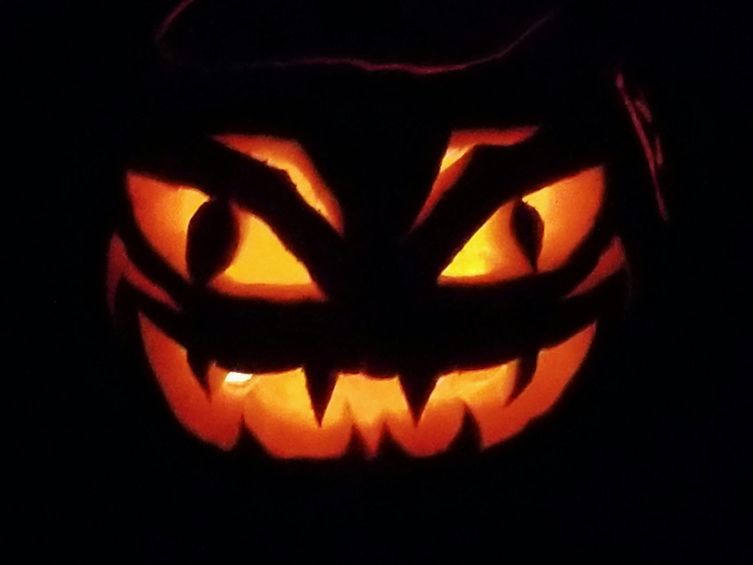 user avatar image for Mike Fett