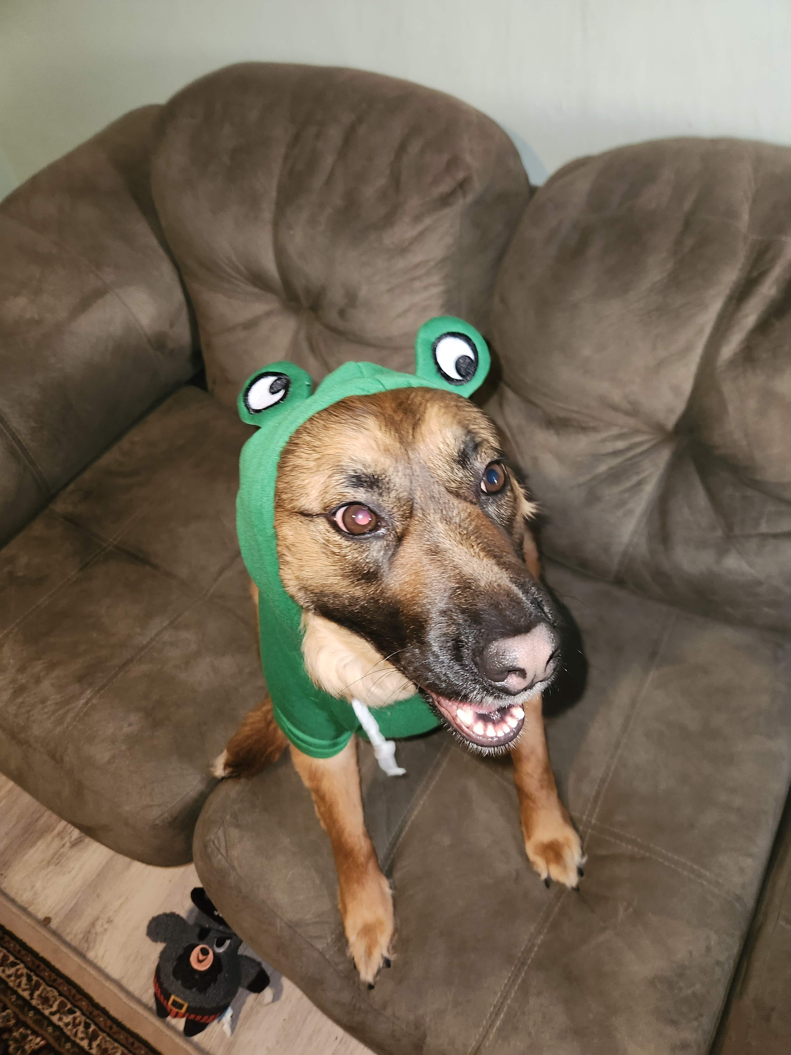 user avatar image for George 