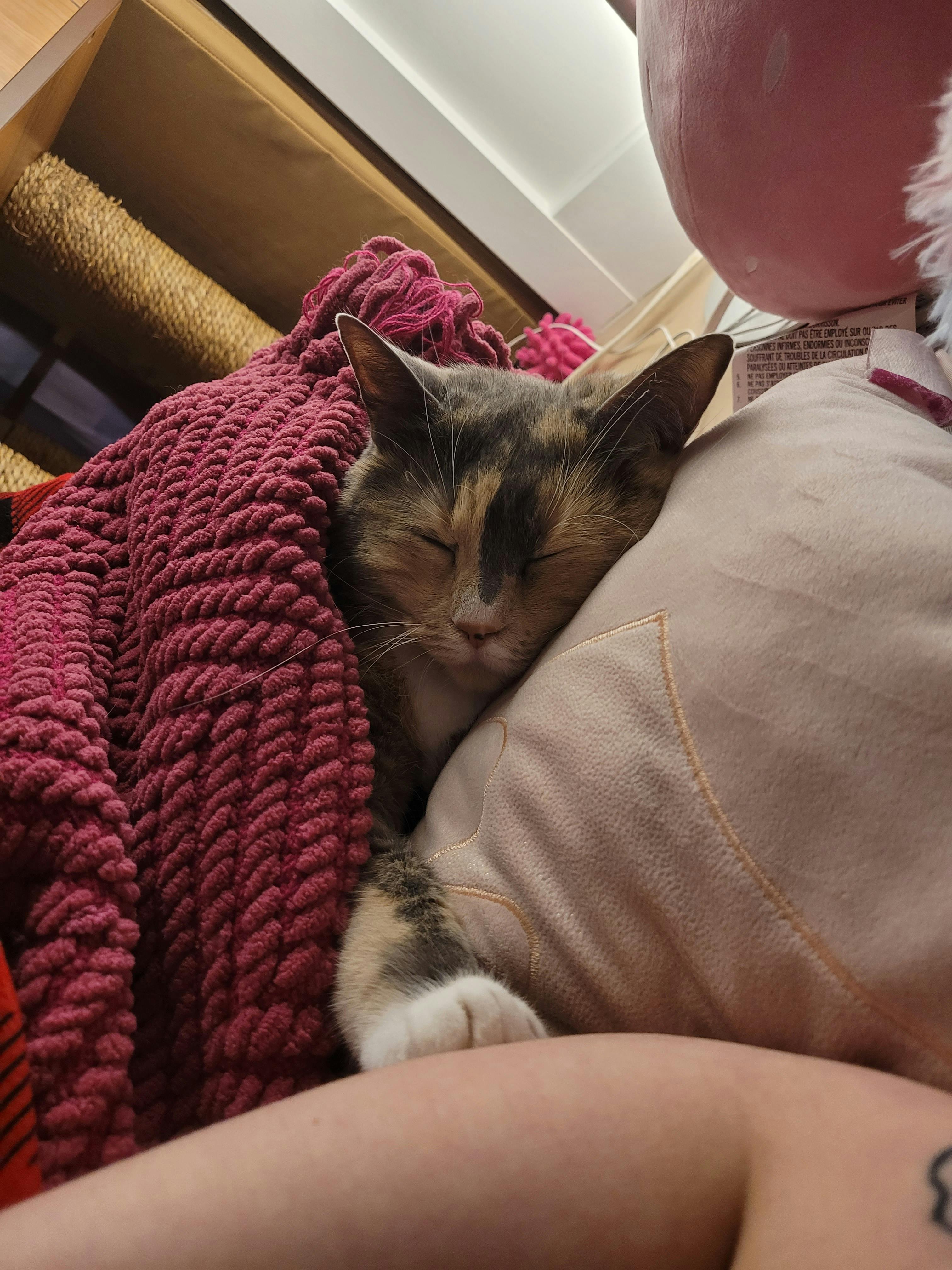 user avatar image for Ashleigh