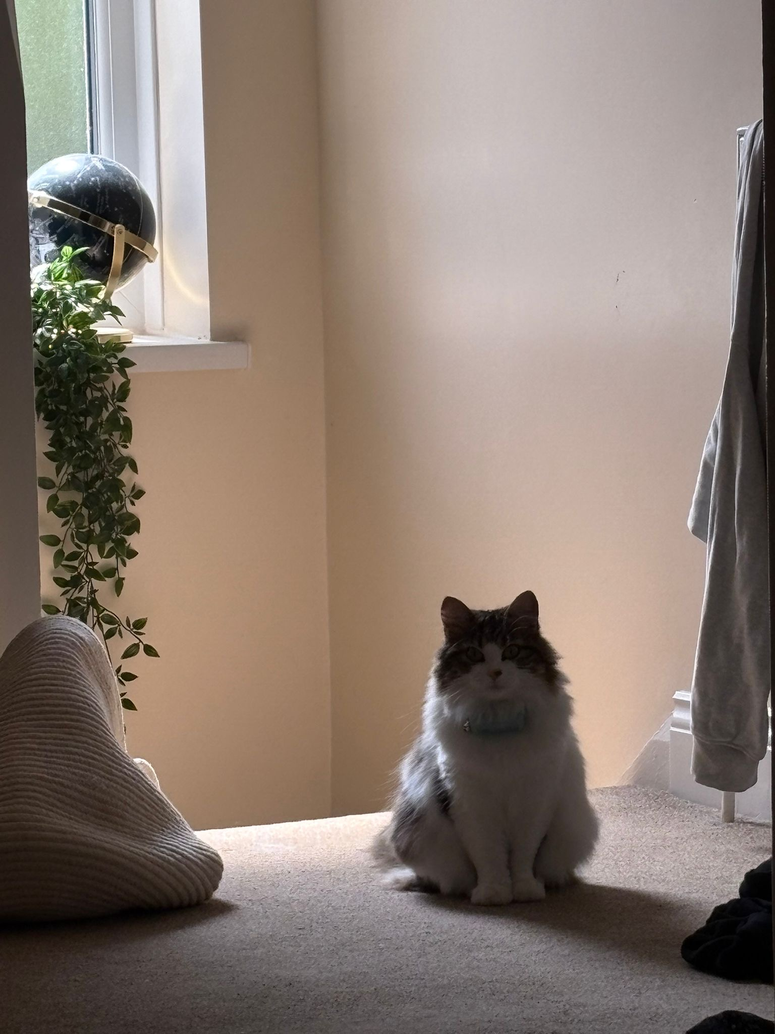 user avatar image for Tom