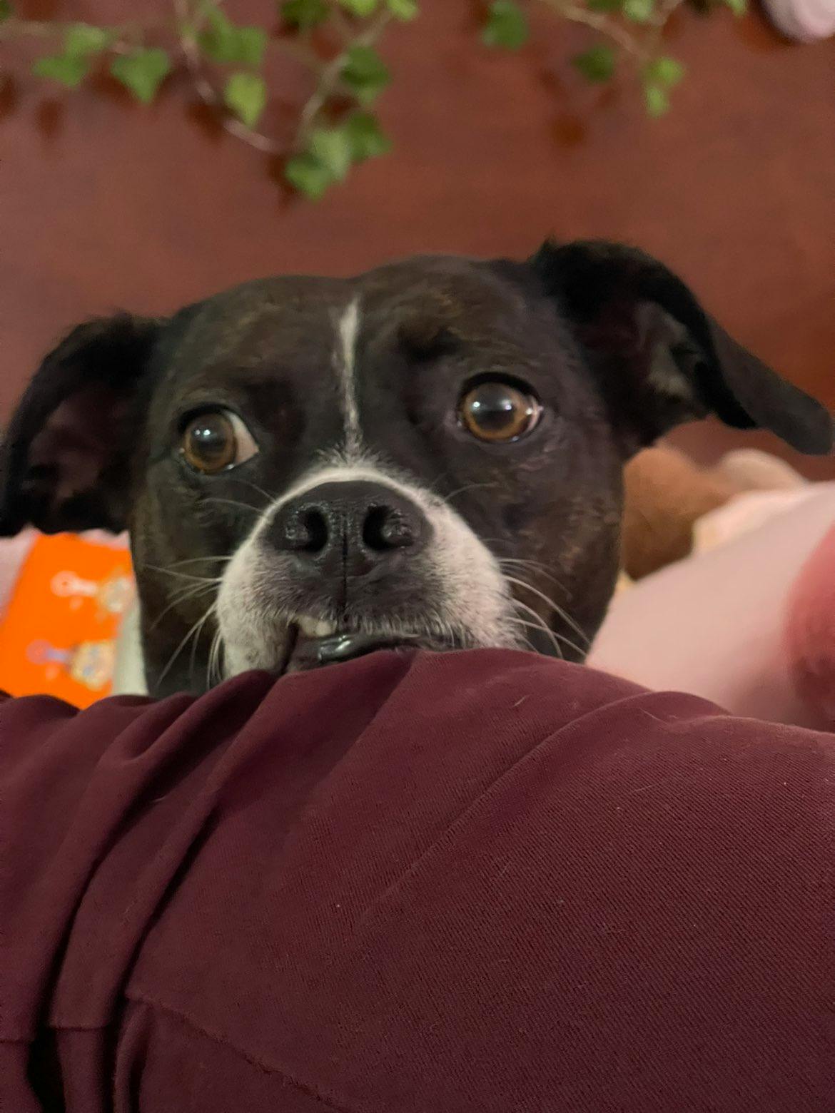 user avatar image for Ren