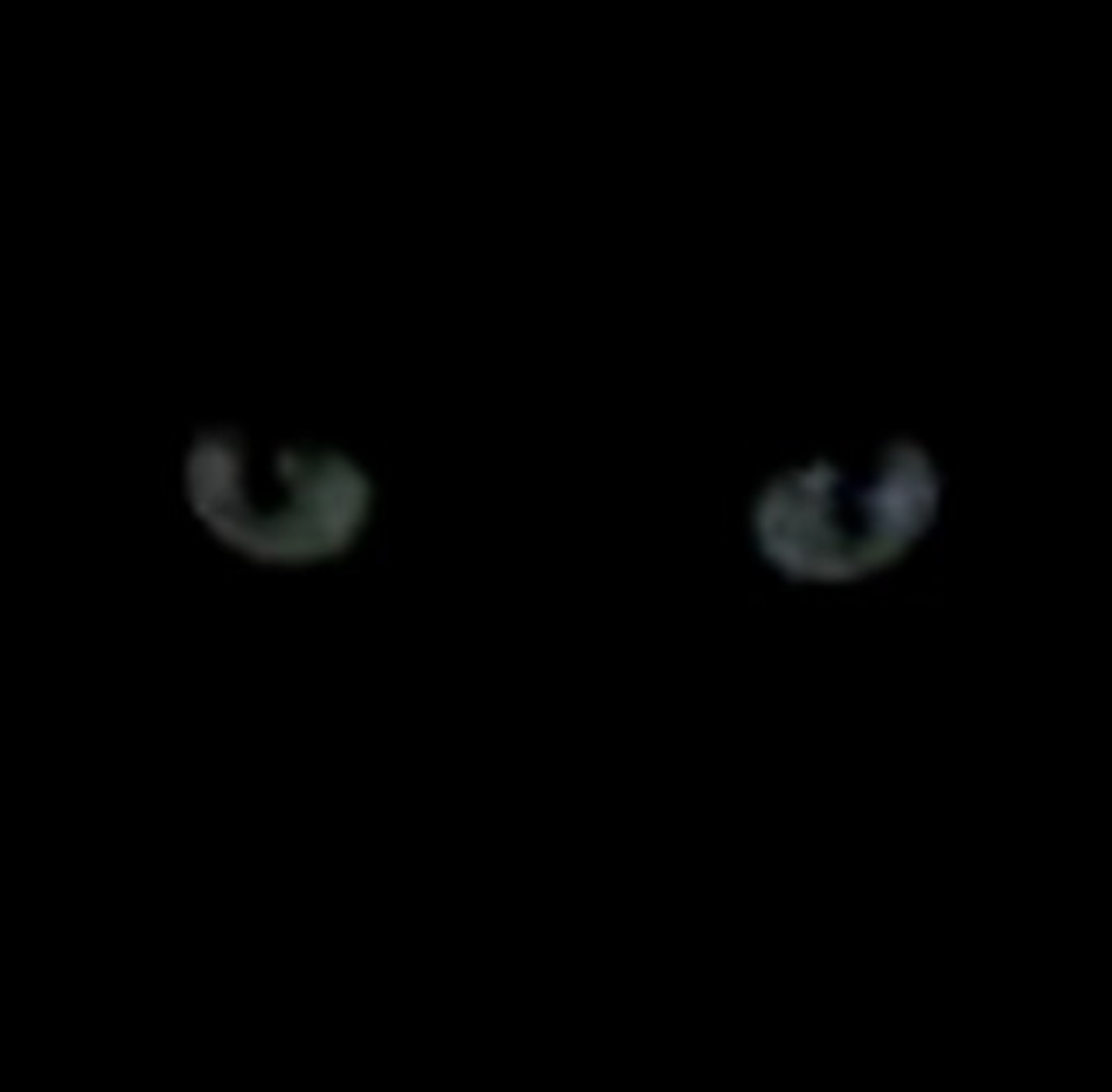user avatar image for Dae