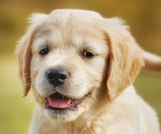 user avatar image for Neil C.