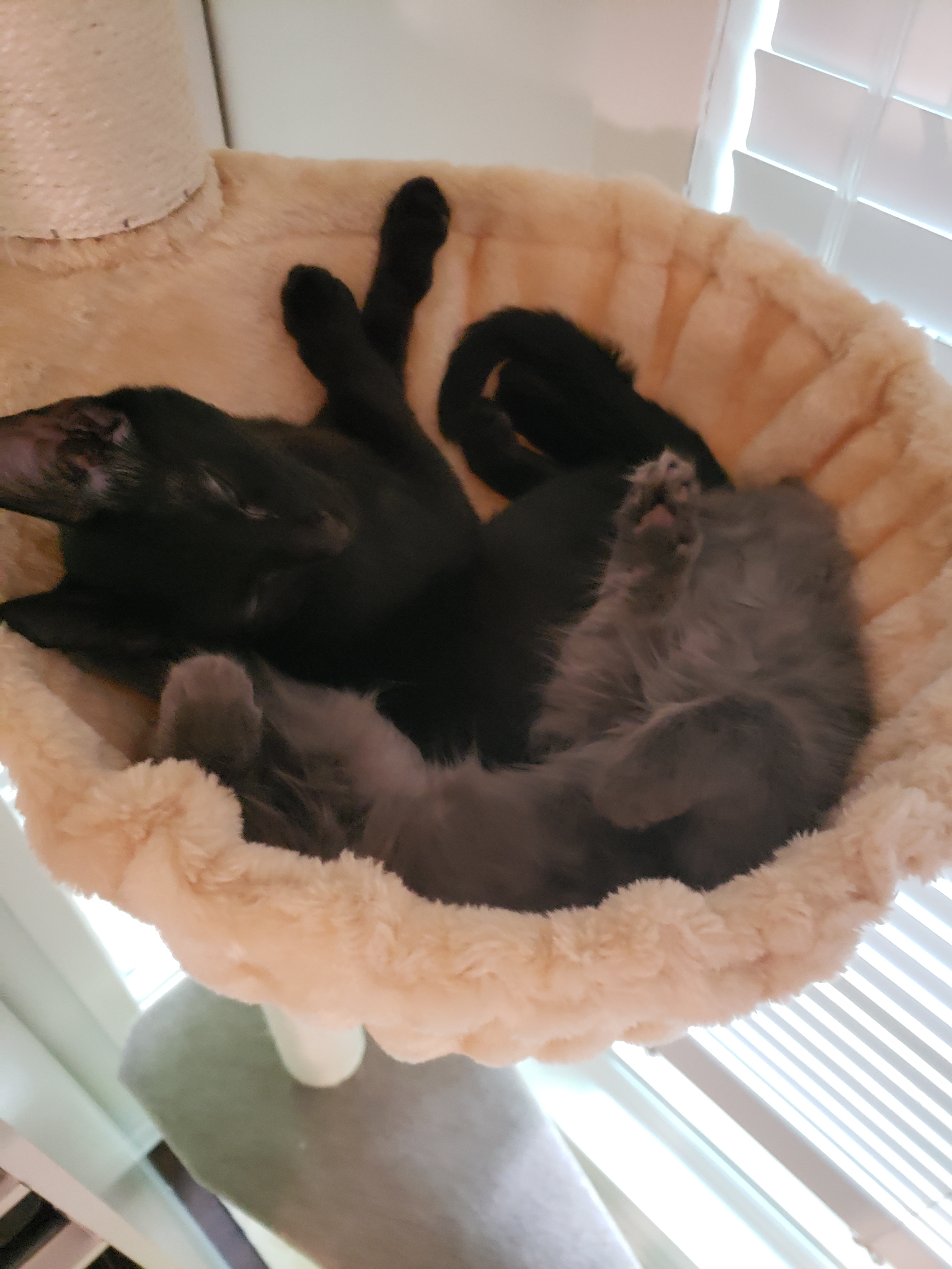 user avatar image for Tony M.