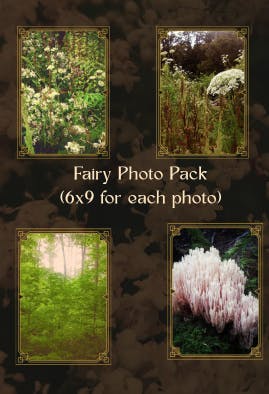 Fairy Photo Pack (digital)