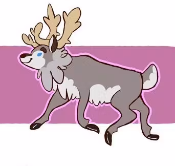 Reindeer