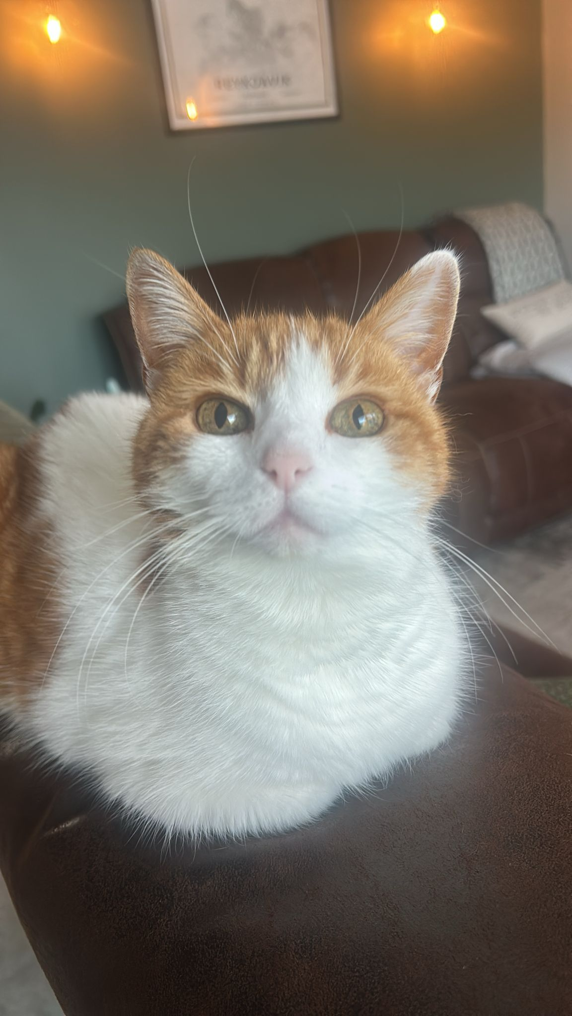 user avatar image for Denis X Mortis