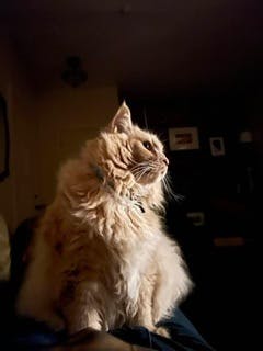 user avatar image for Becky Ponsetto