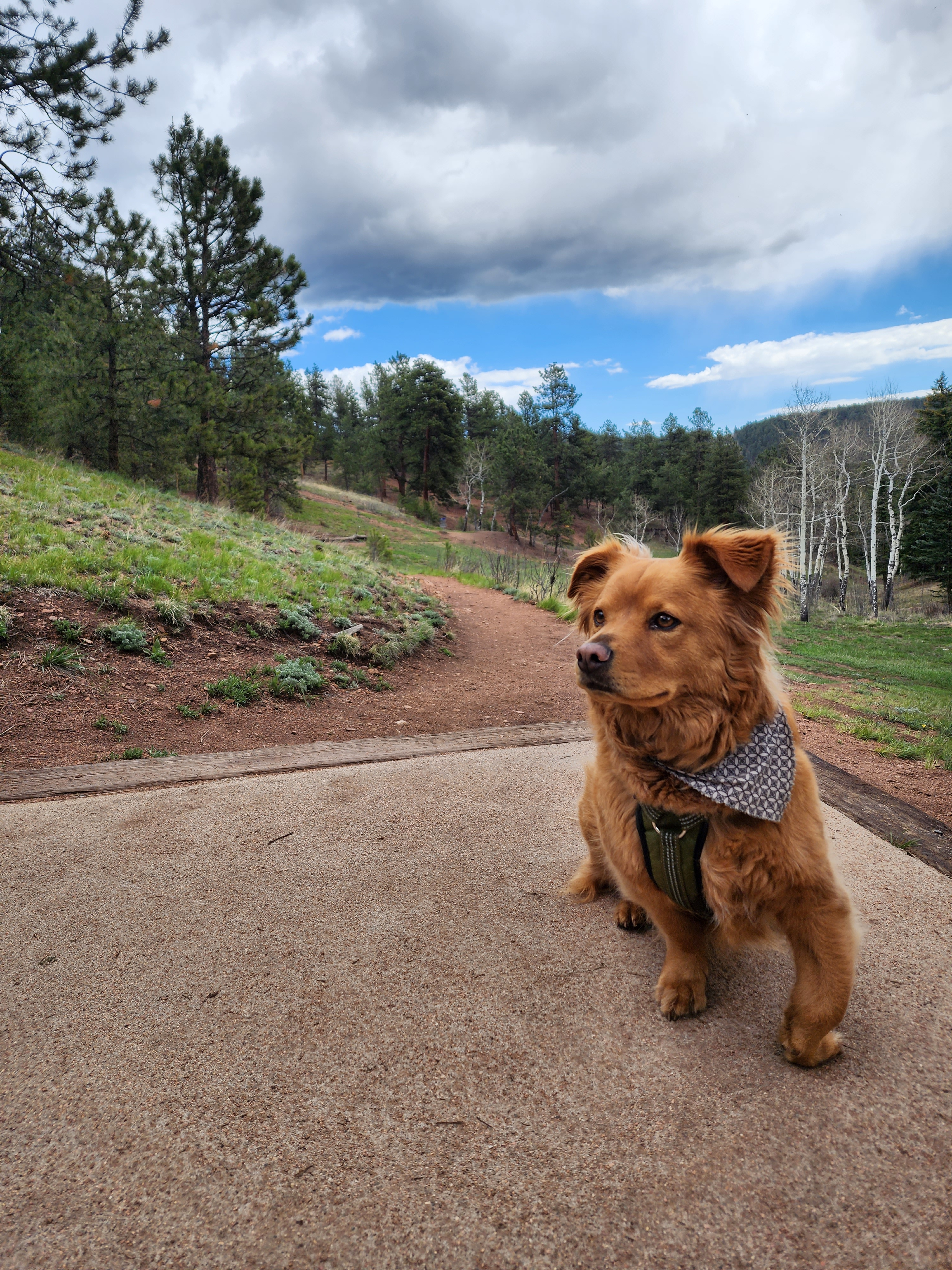 user avatar image for Zak Mishaw 