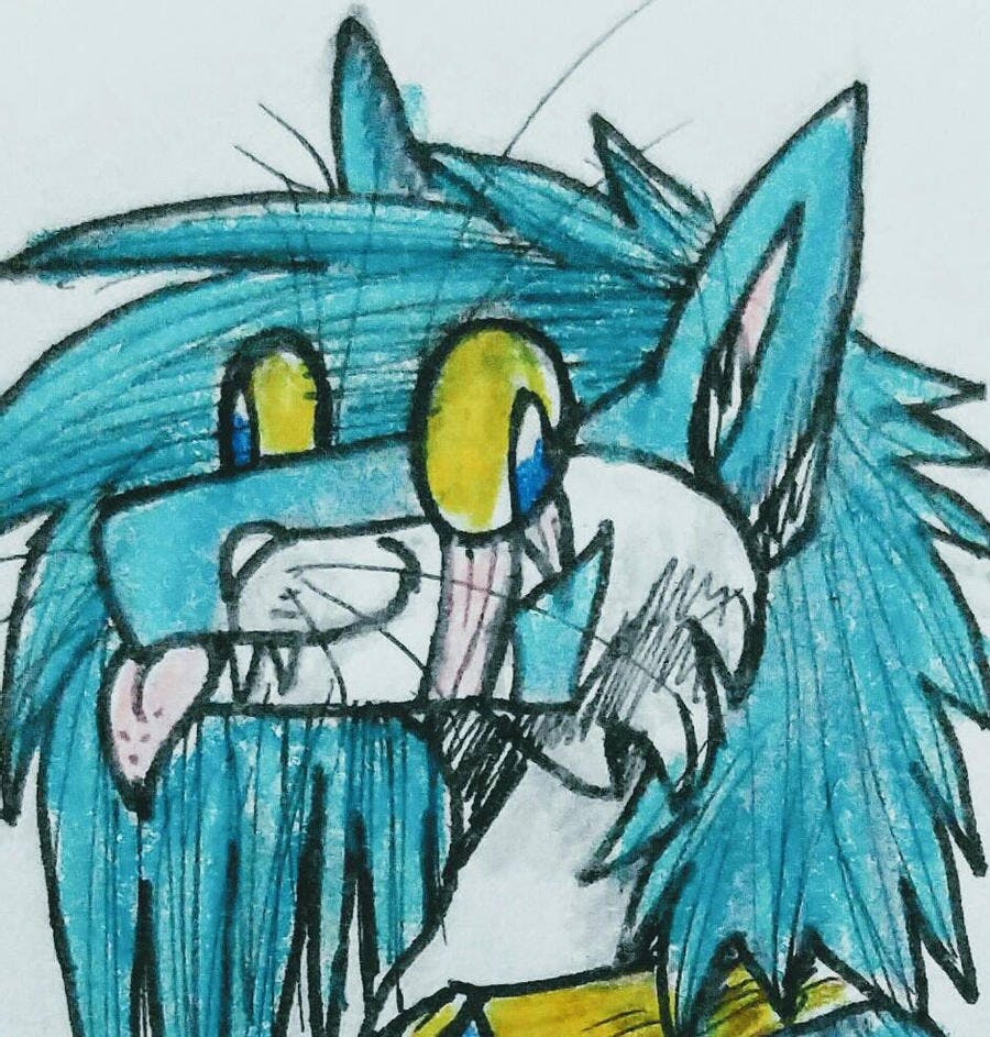 user avatar image for Snowstorm416