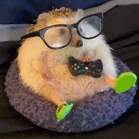 user avatar image for diegodzilla