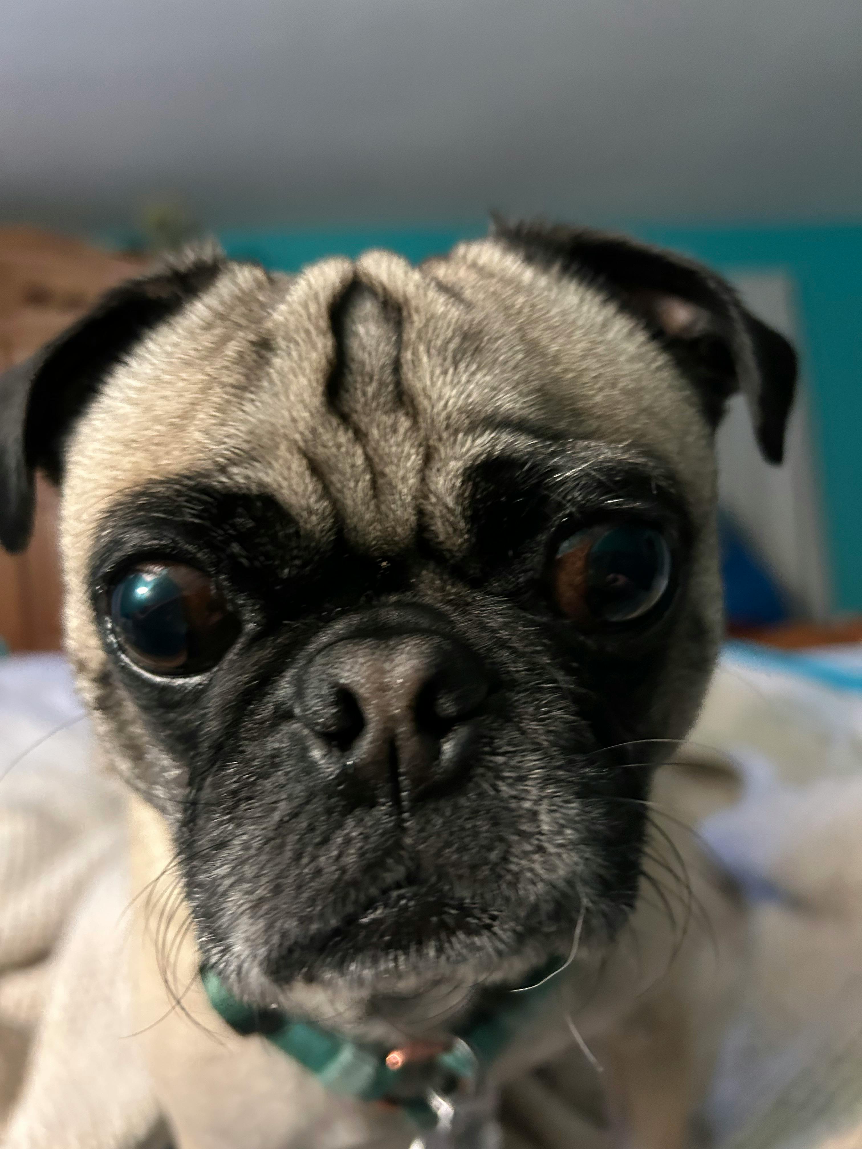 user avatar image for Ron D