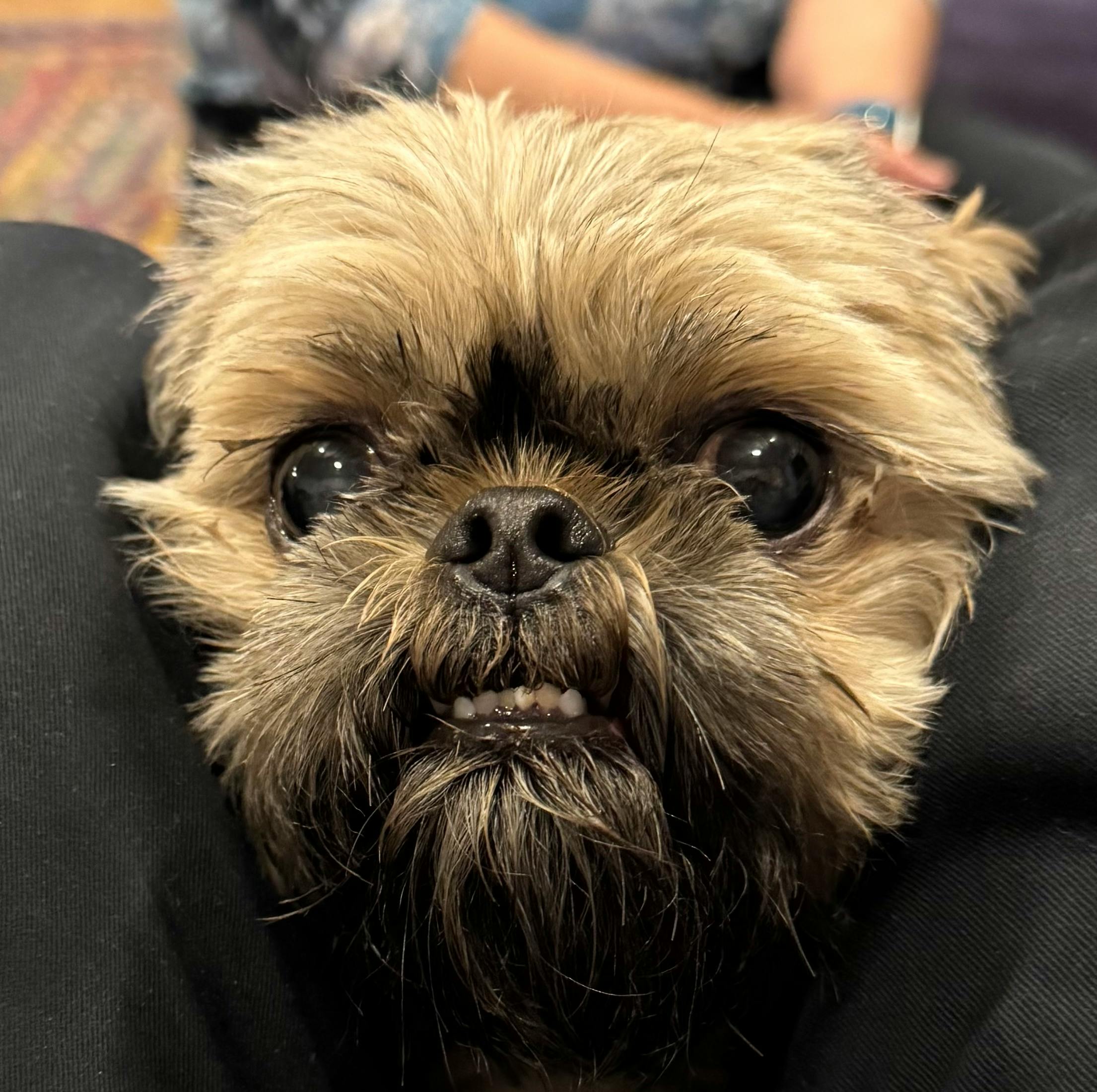 user avatar image for David K