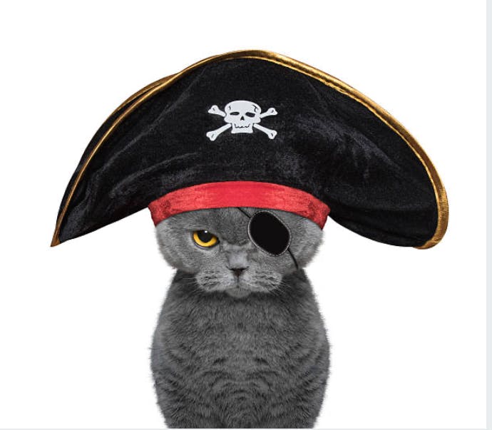 user avatar image for Firegirl289