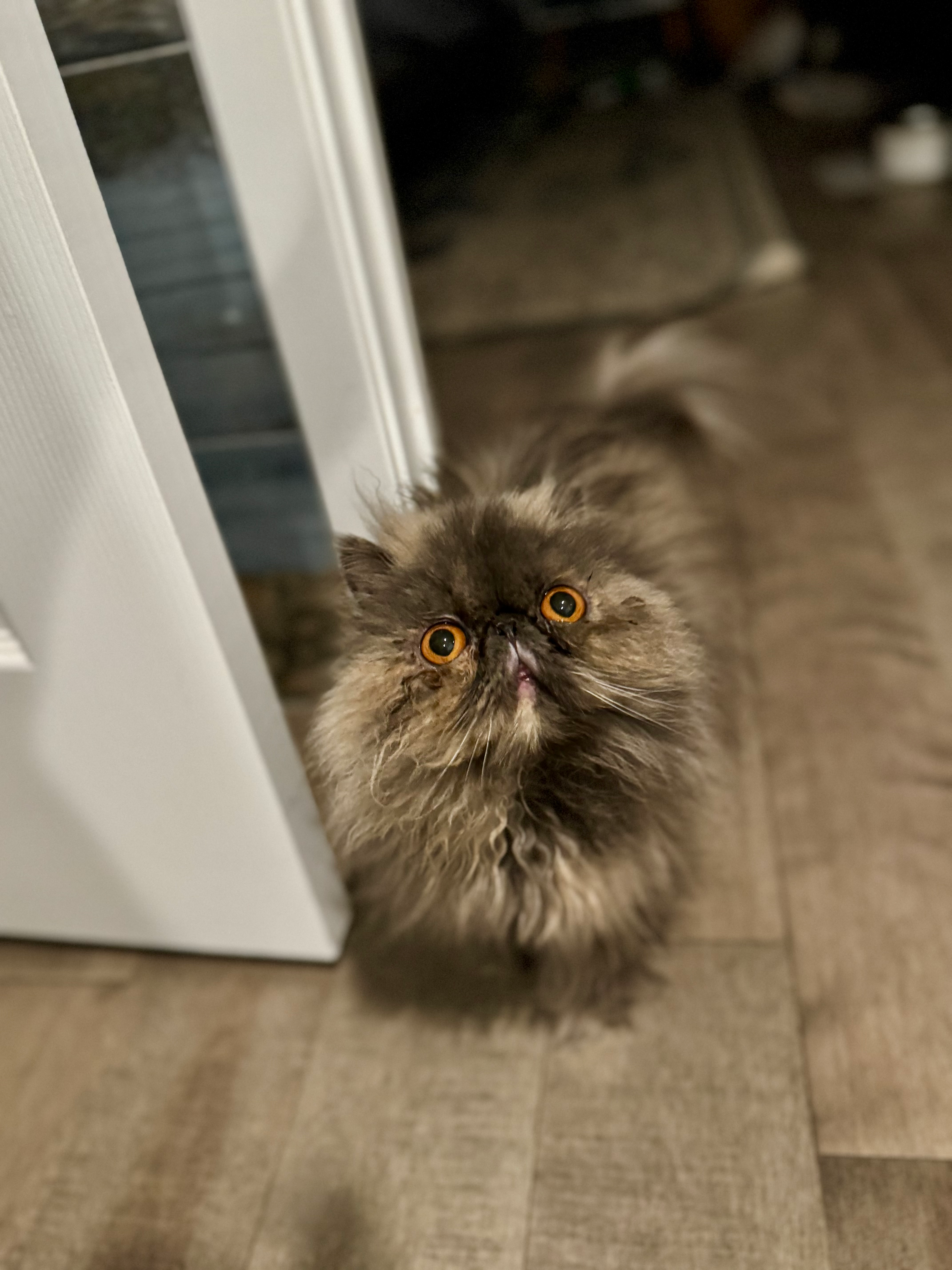 user avatar image for Liz