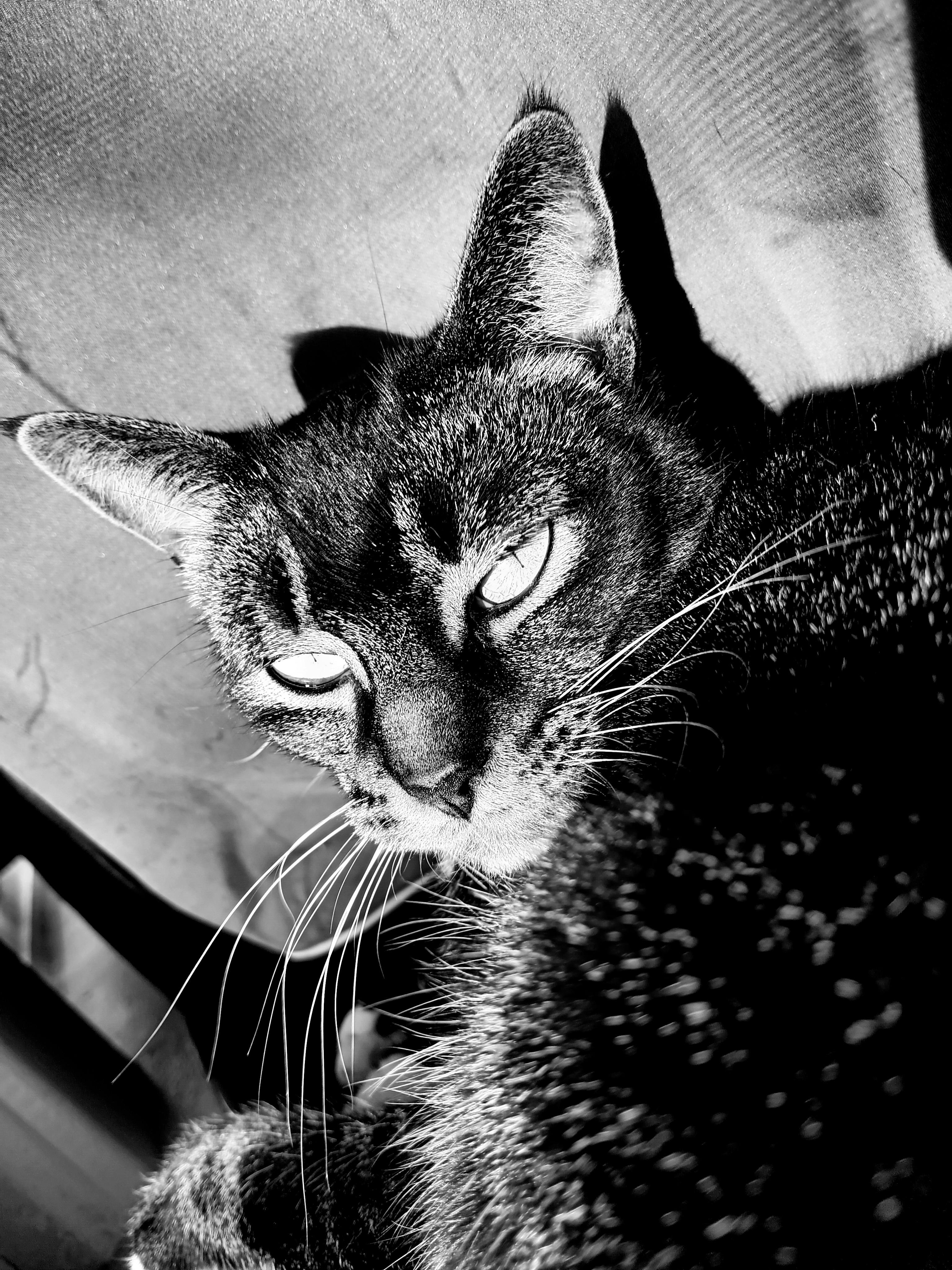 user avatar image for Nicole Rhines 