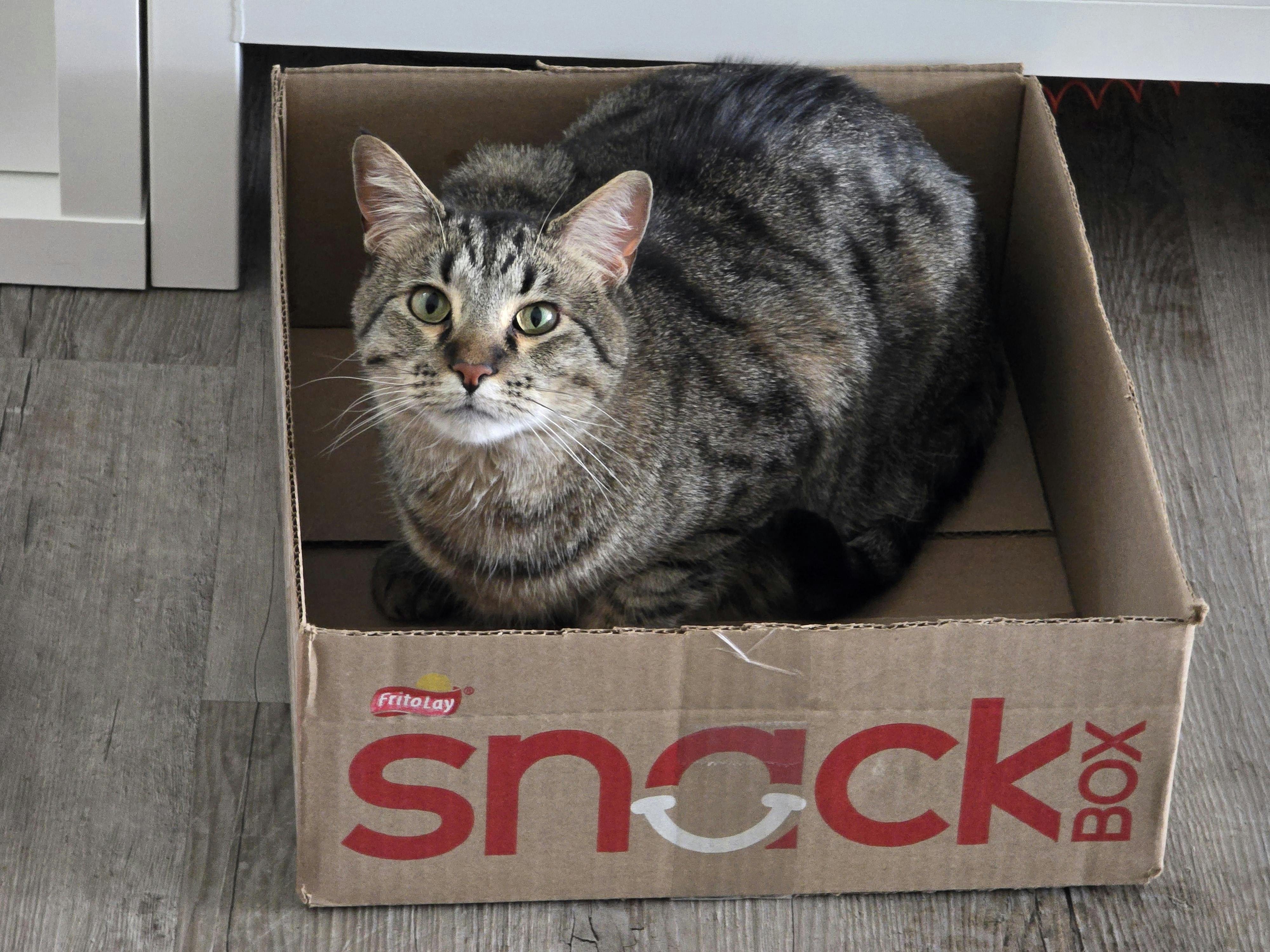 user avatar image for Setzer777