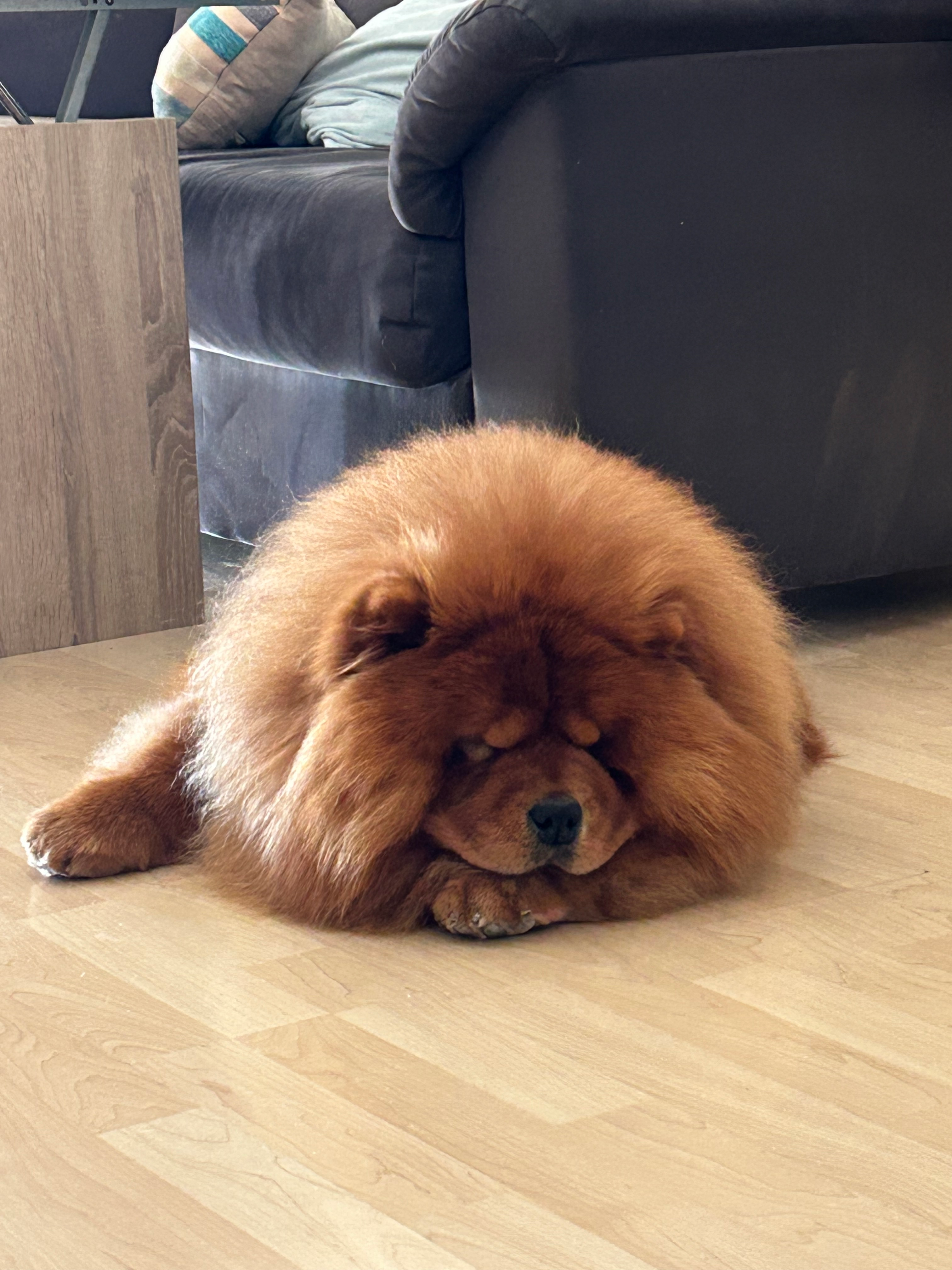 user avatar image for Cristian LC