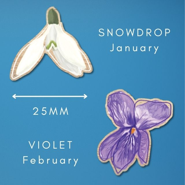 a mock up of two wooden pins made from original illustrations by Loadofolbobbins. 25mm at their widest point they show a white snowdrop representing January and a purple violet for February